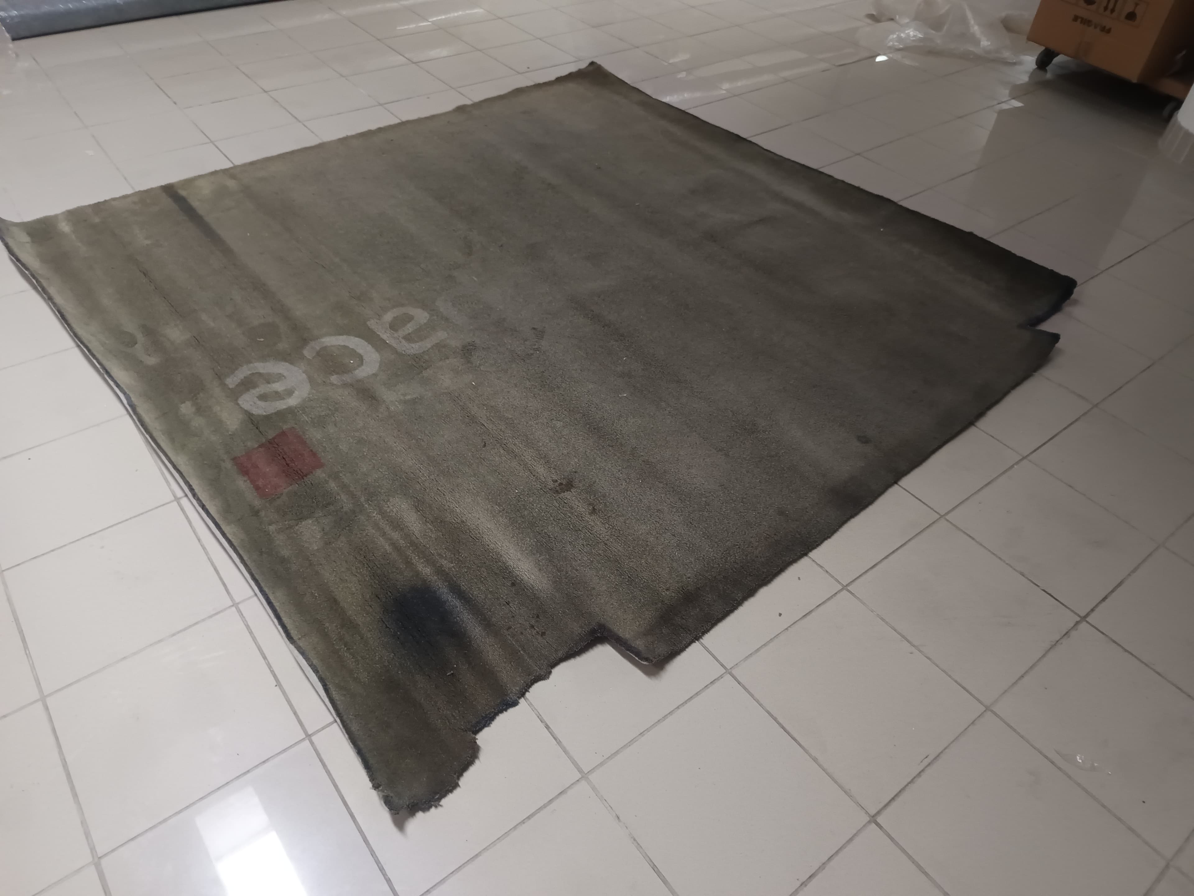 Carpete — imagem 5