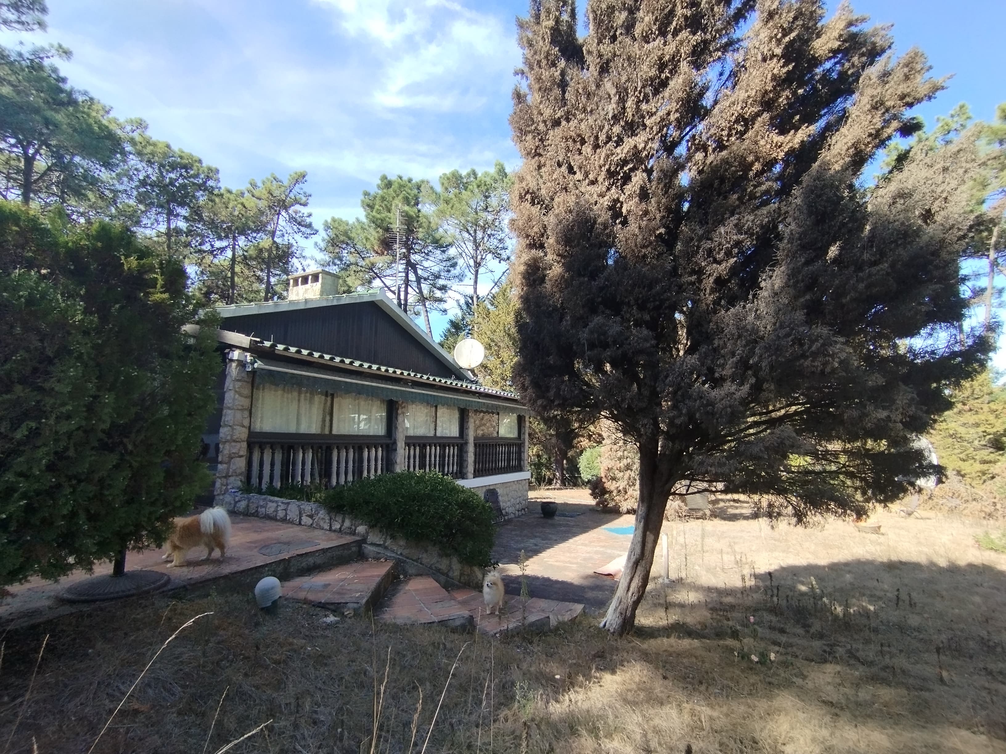 Moradia V5 com Piscina · Herdade da Aroeira, Charneca de Caparica — imagem 20