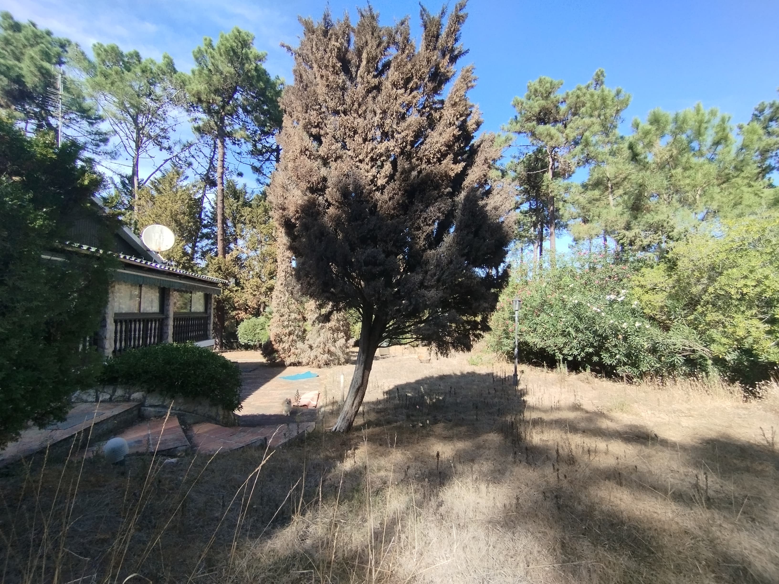 Moradia V5 com Piscina · Herdade da Aroeira, Charneca de Caparica — imagem 19