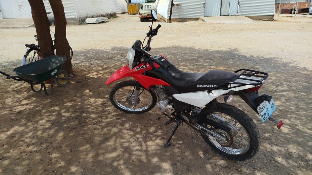 Honda XL125 — imagen 6
