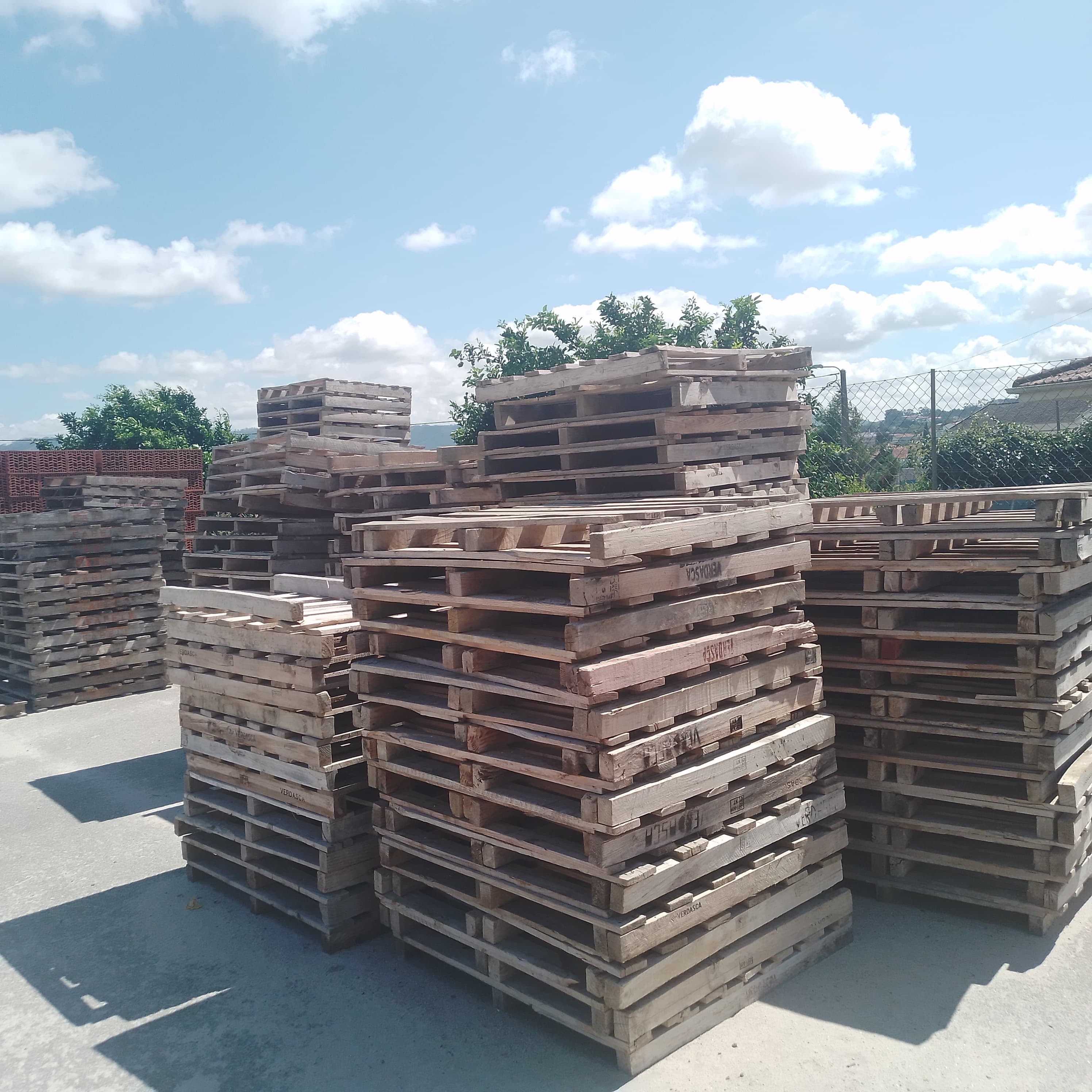 Stock — image 7
