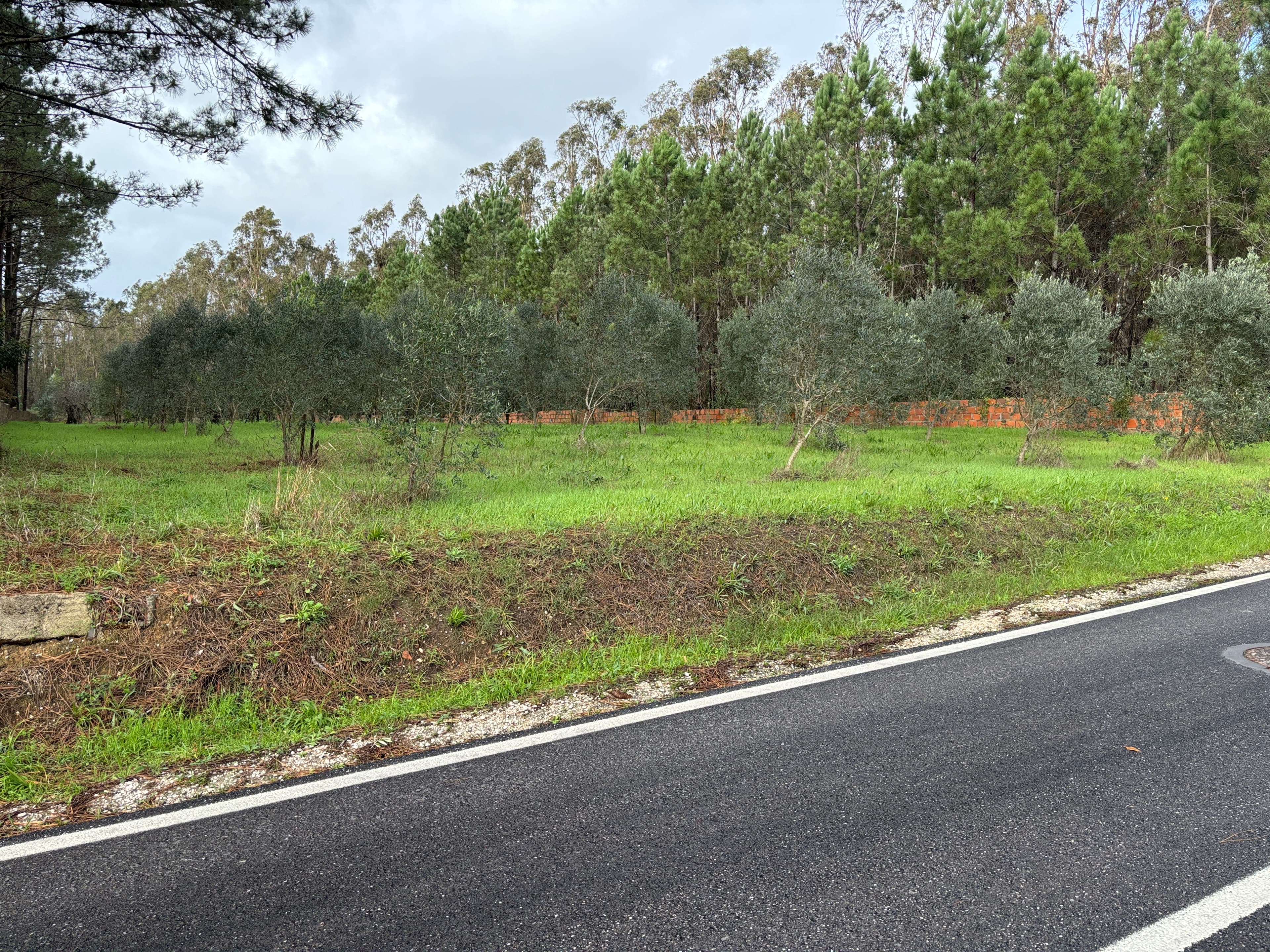 Terreno para Construção · Carriço, Pombal — image 6