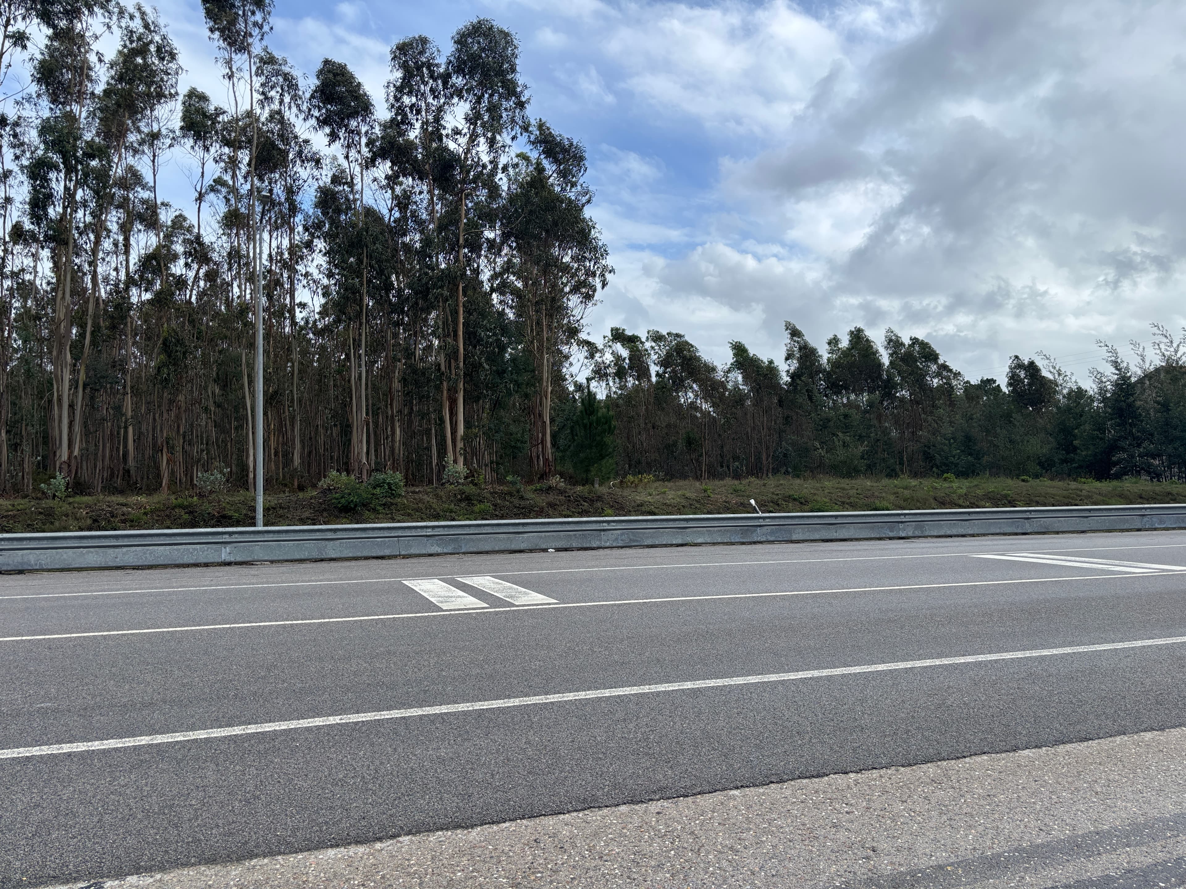 Terrenos Rústicos · Louriçal, Pombal — image 3