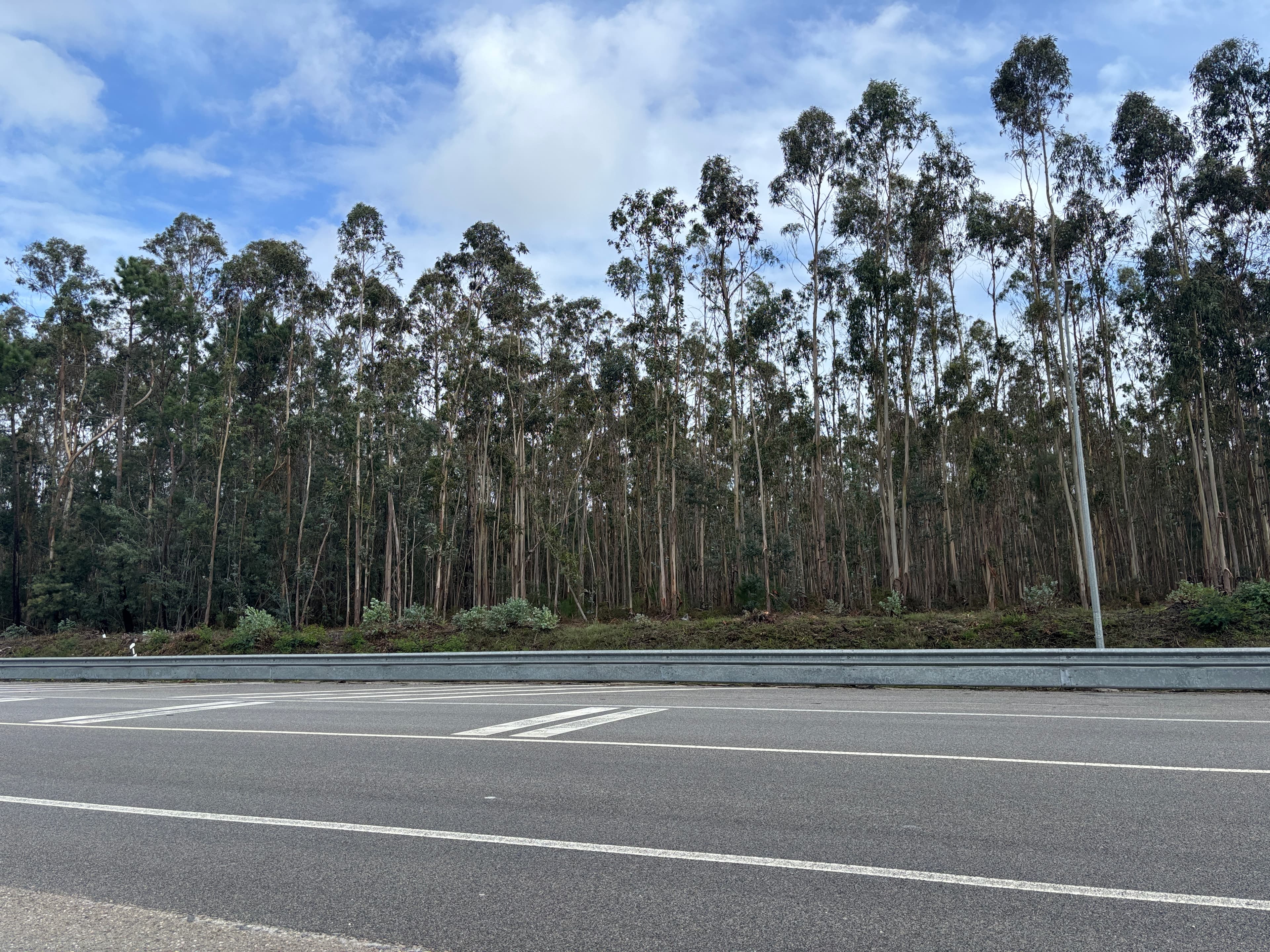 Terrenos Rústicos · Louriçal, Pombal — image 4