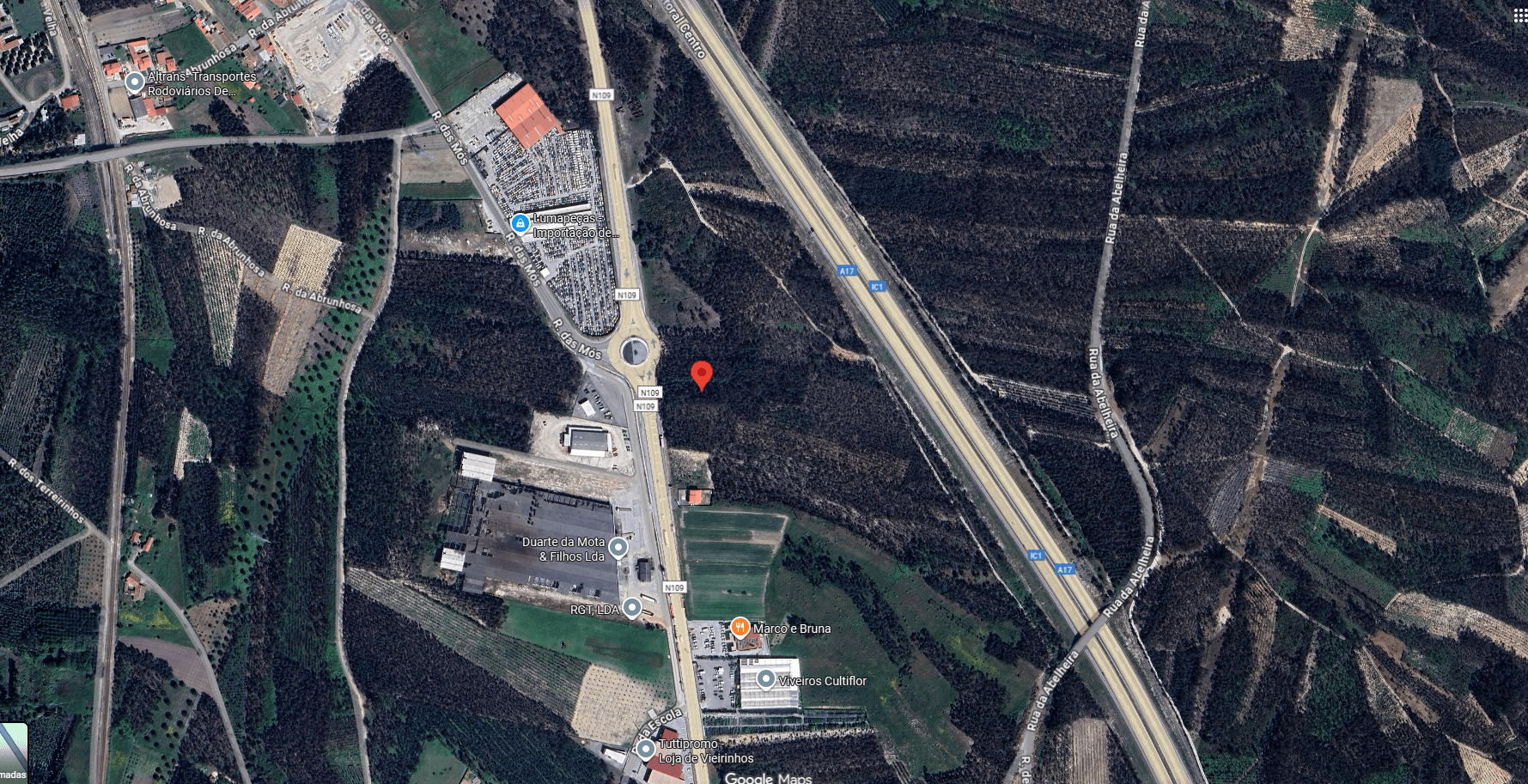 Terrenos Rústicos · Louriçal, Pombal — image 6