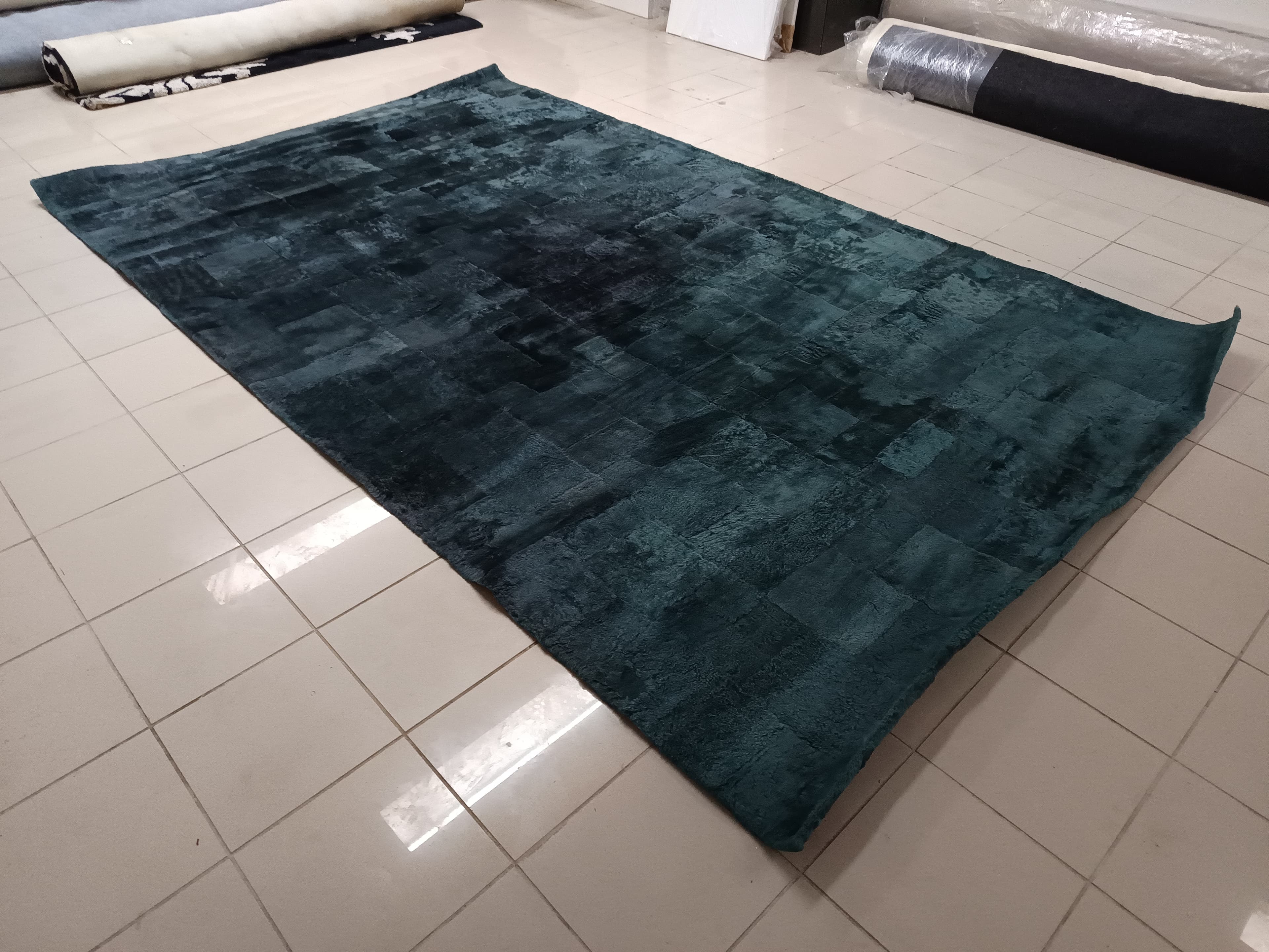 Carpete — image 2