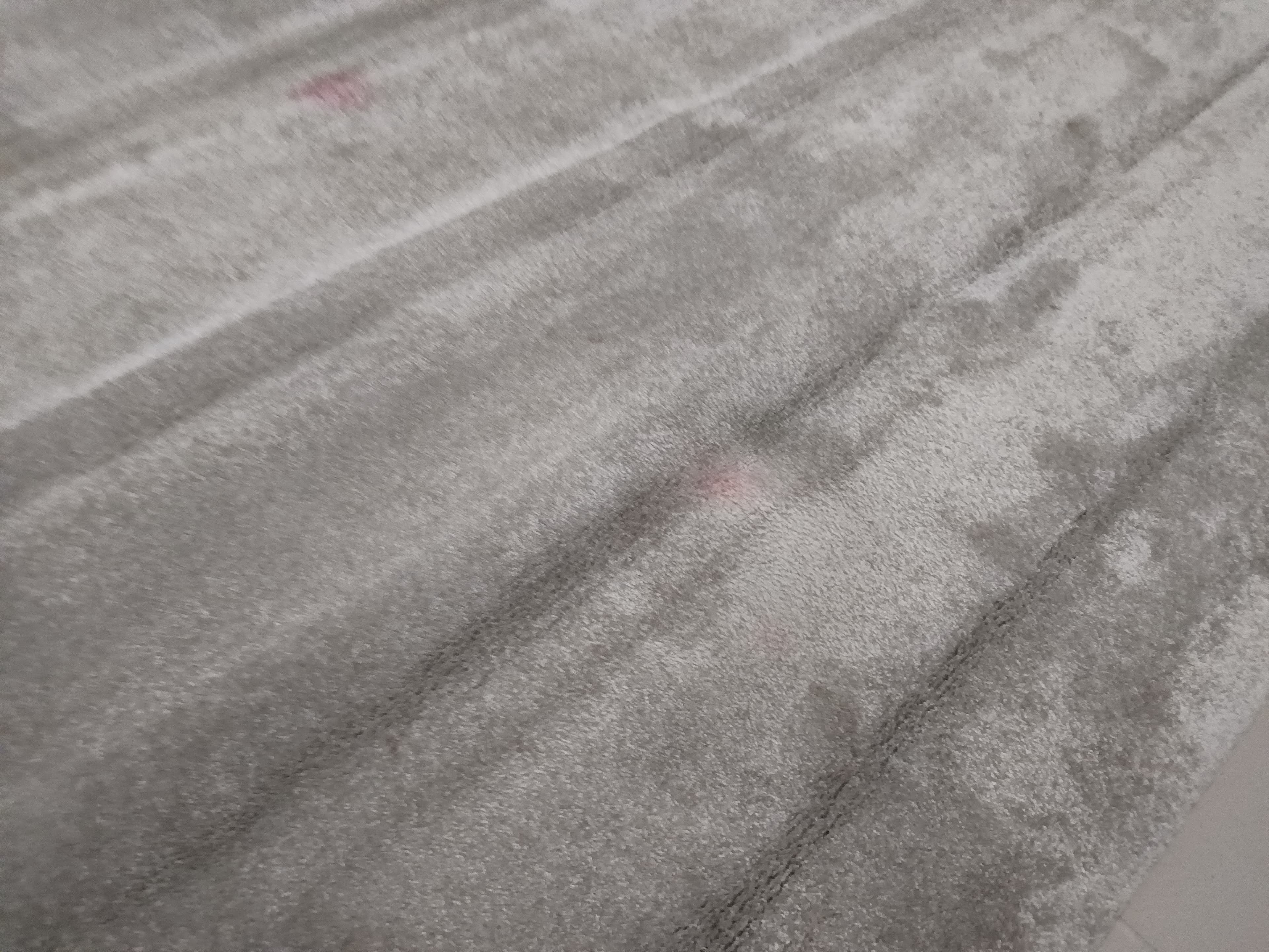 Tapis — image 4