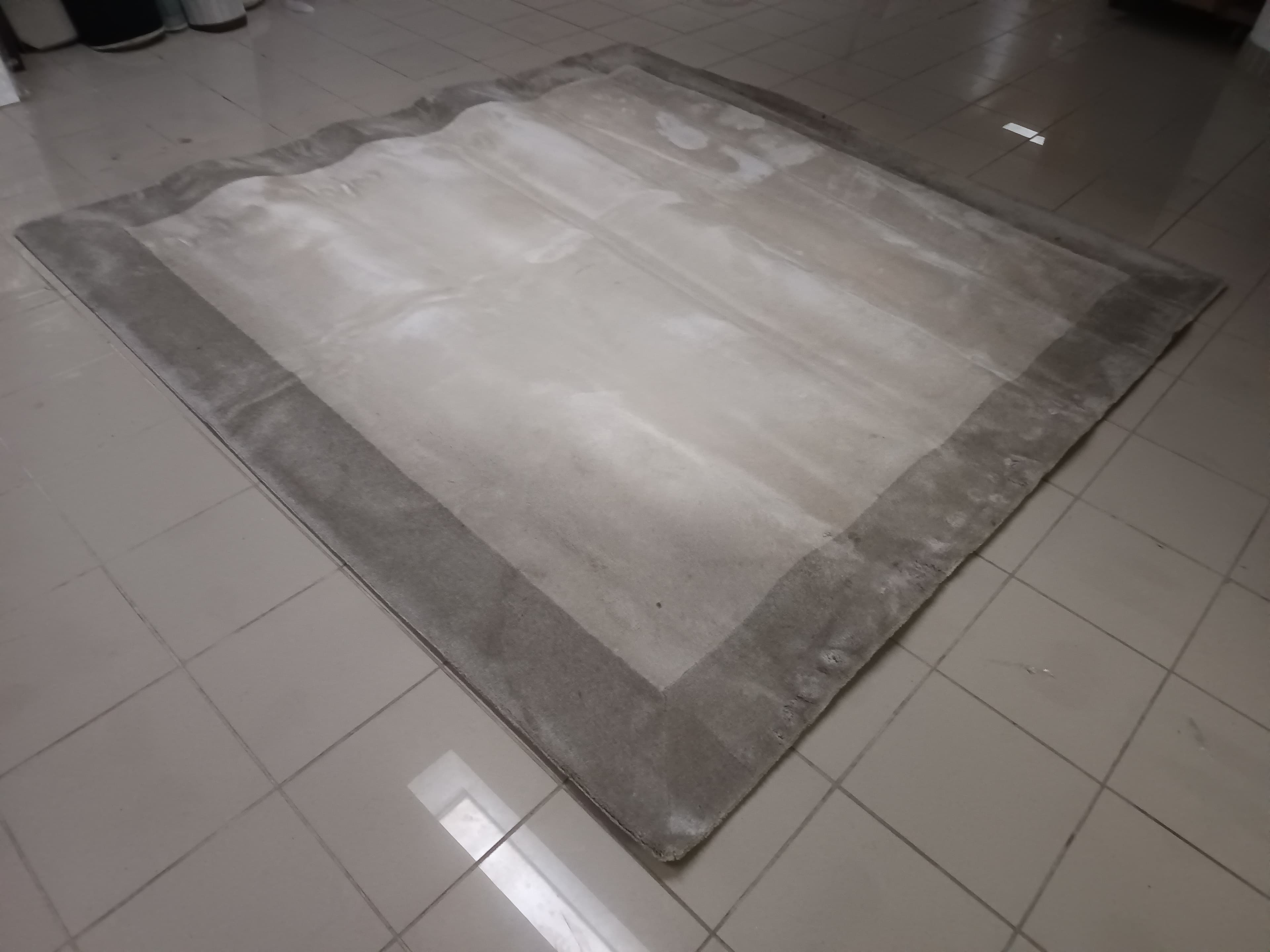Carpete — imagem 2