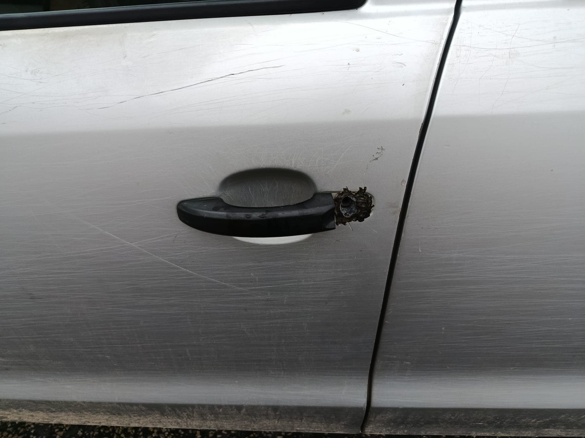 Volkswagen Amarok · Ano 2011 — image 17