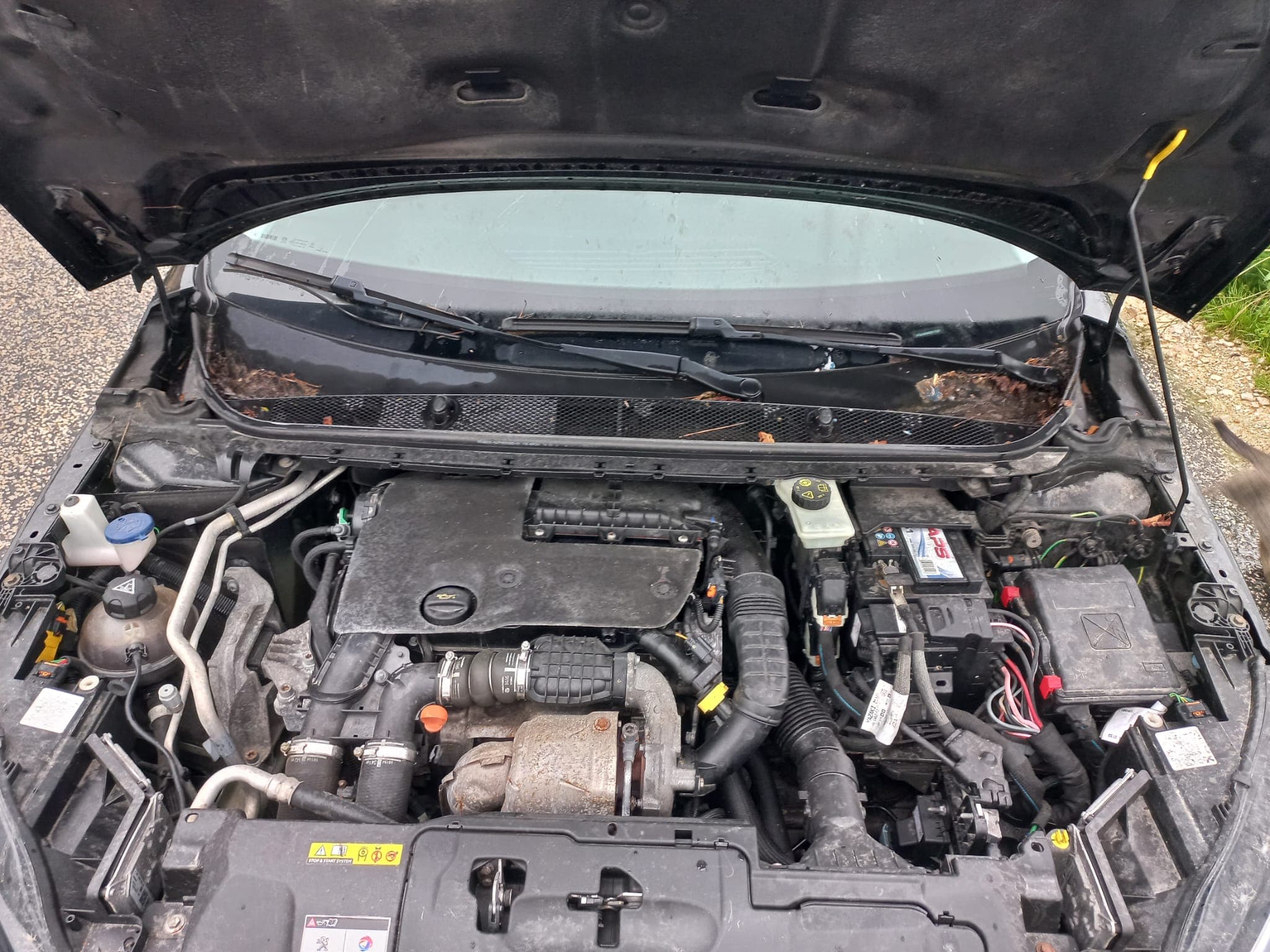 Peugeot 308 · Ano 2016 — imagen 17