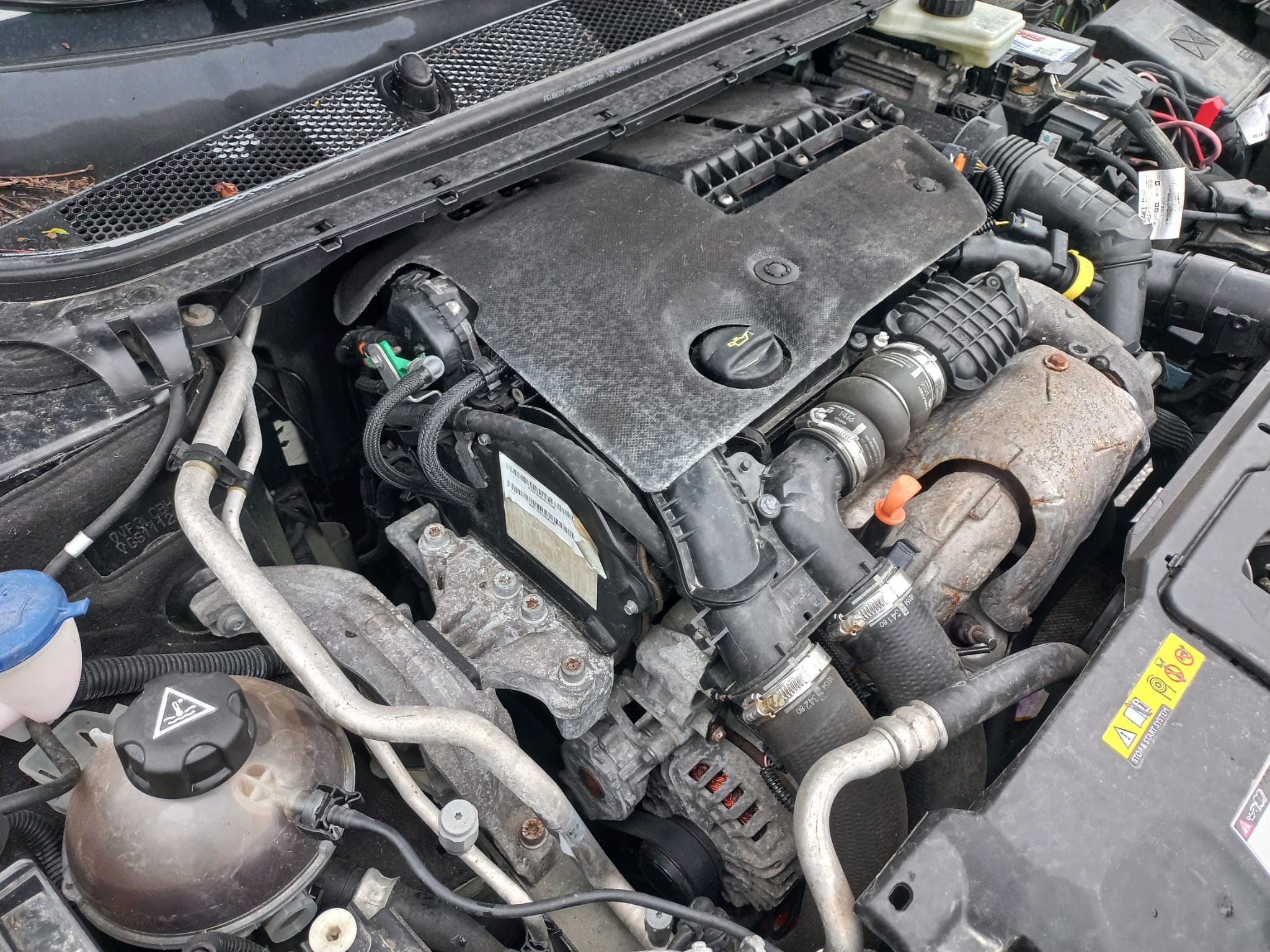 Peugeot 308 · Ano 2016 — imagen 19