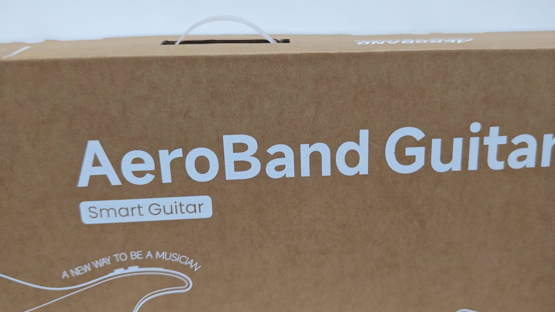 Guitarra elétrica — imagem 12