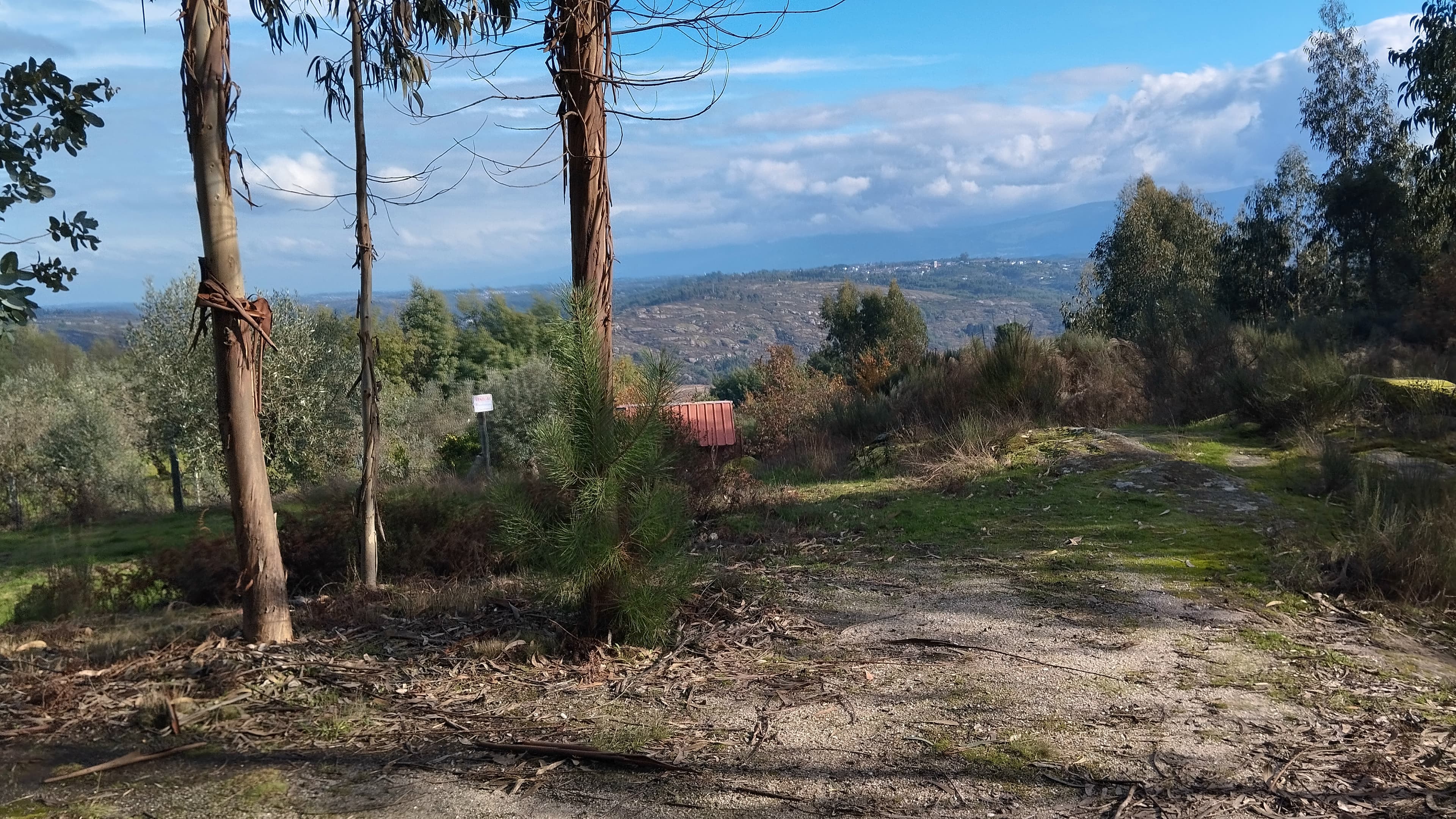 Terreno com 1.300 m² · Travanca de Lagos, Oliveira do Hospital
