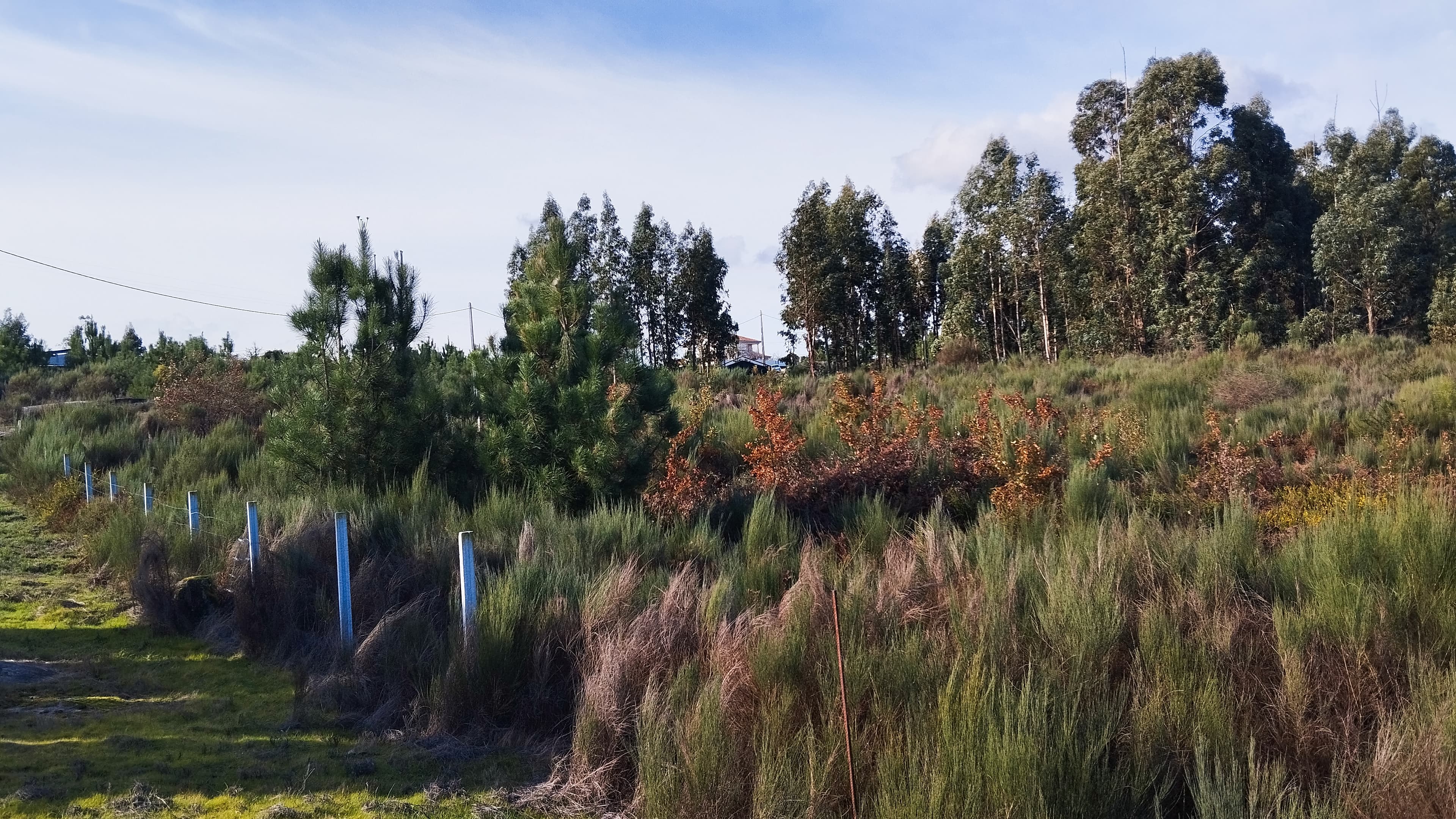Terreno com 450 m² · Travanca de Lagos, Oliveira do Hospital — imagem 3