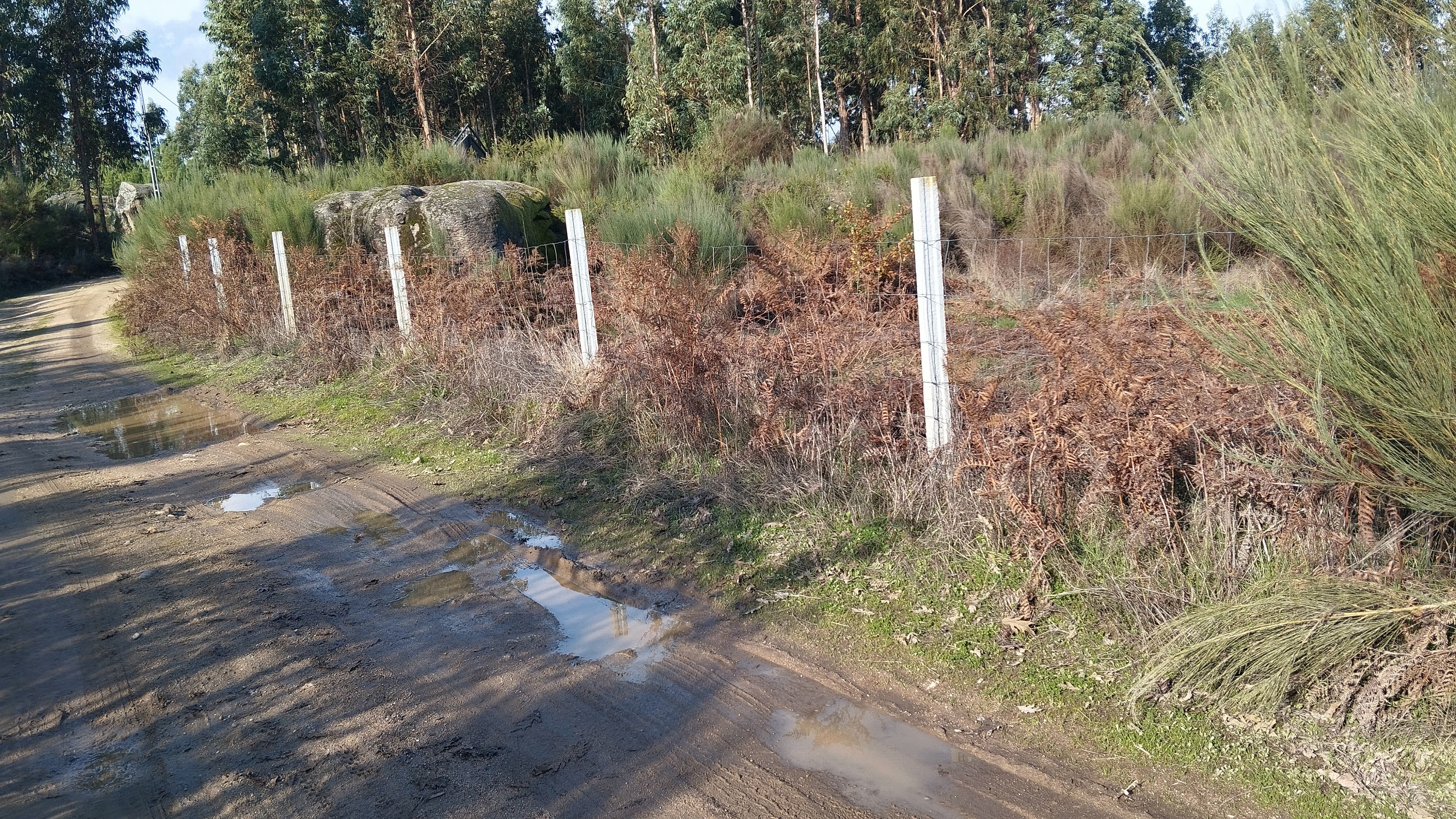 Terreno com 1.000 m² · Travanca de Lagos, Oliveira do Hospital — image 4