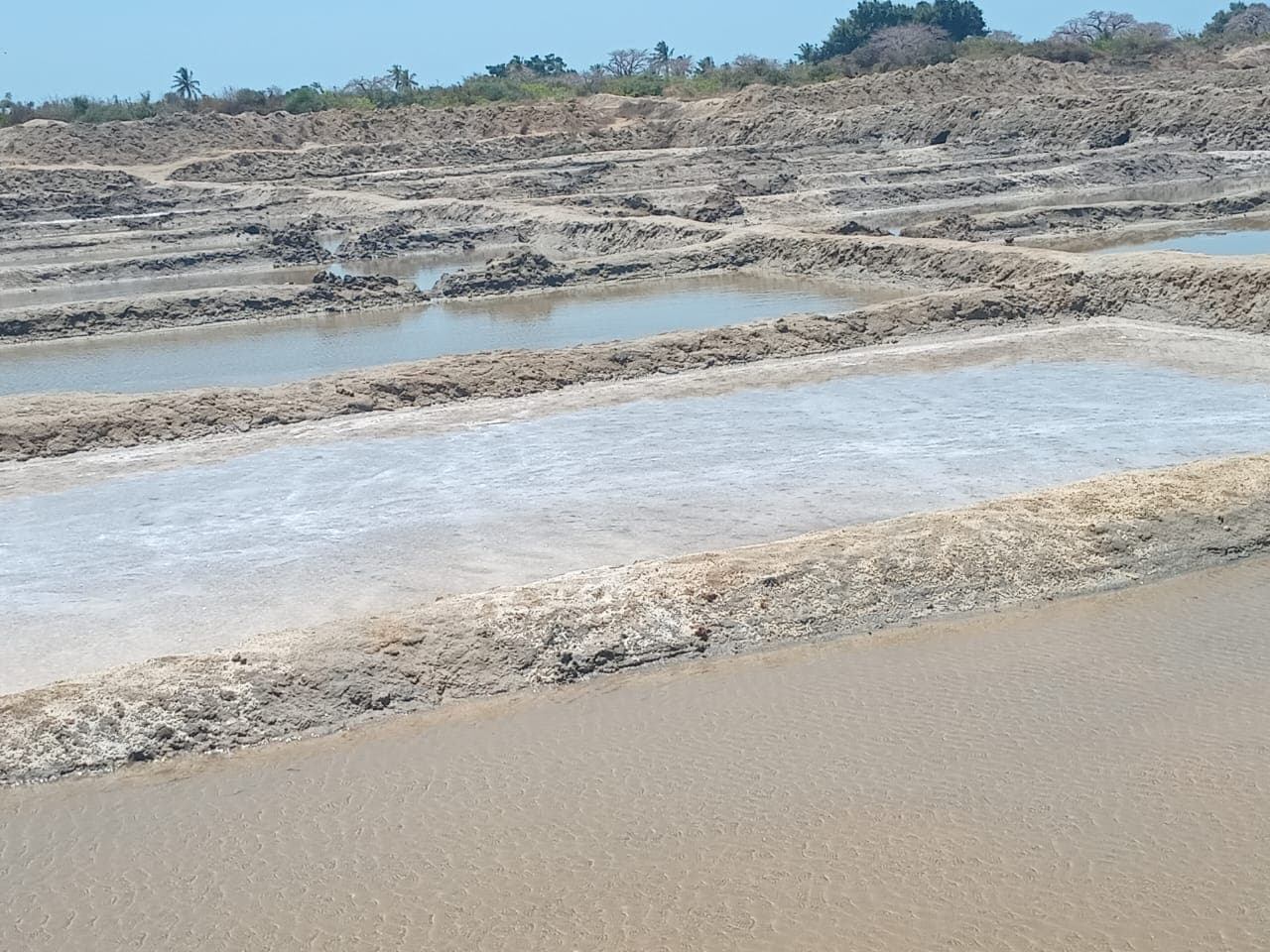 Infraestruturas e Salinas em Terreno de 15,687 Ha - Ilha de Moçambique — imagem 12