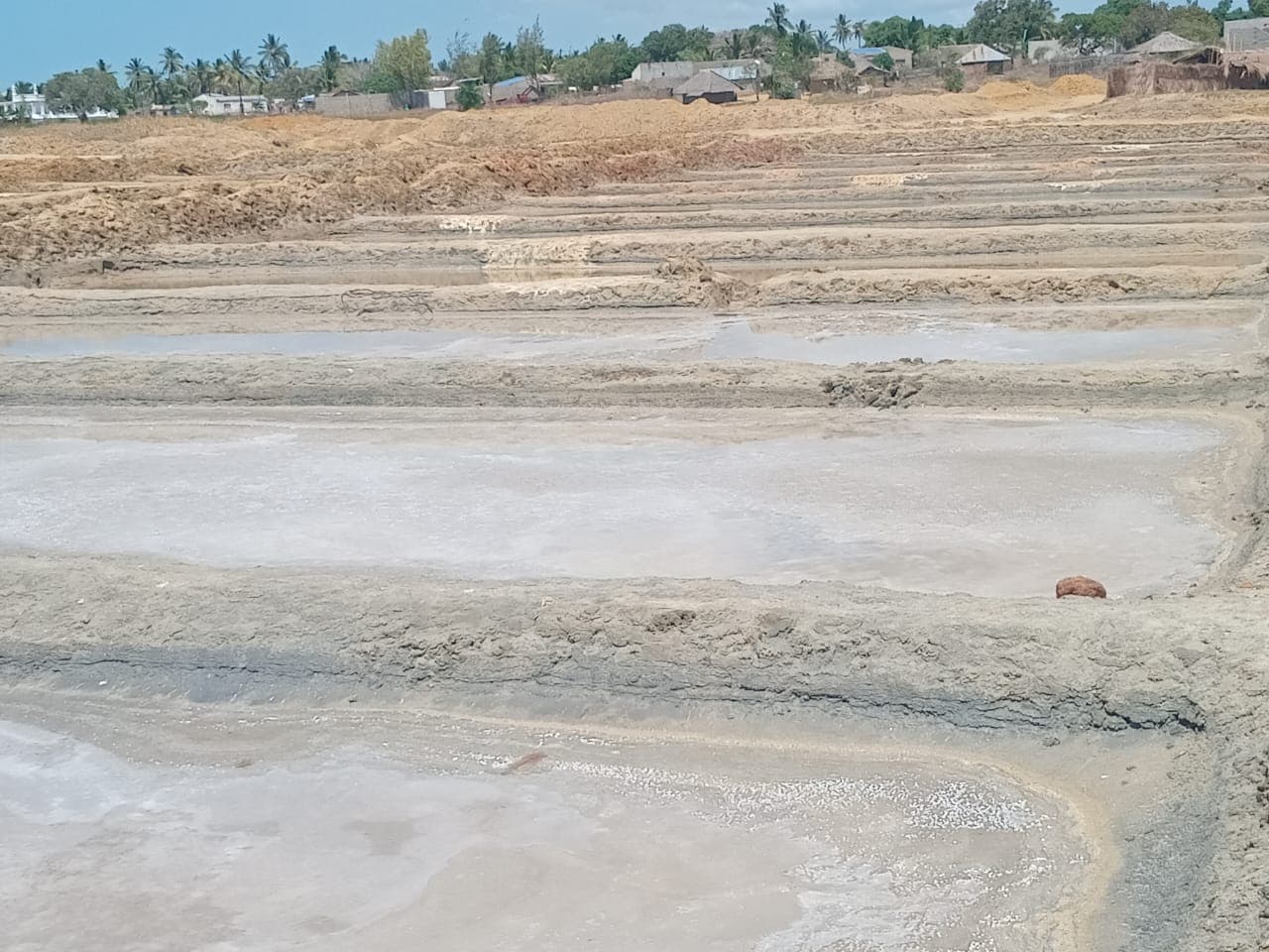 Infraestruturas e Salinas em Terreno de 15,687 Ha - Ilha de Moçambique — imagem 13
