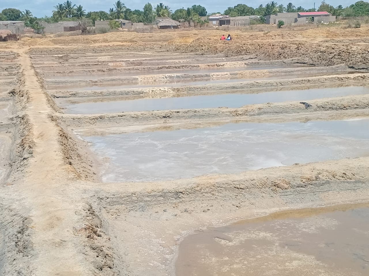 Infraestruturas e Salinas em Terreno de 15,687 Ha - Ilha de Moçambique — imagem 10