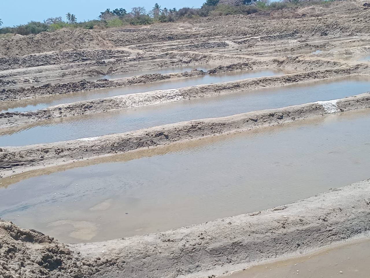Infraestruturas e Salinas em Terreno de 15,687 Ha - Ilha de Moçambique — imagem 18