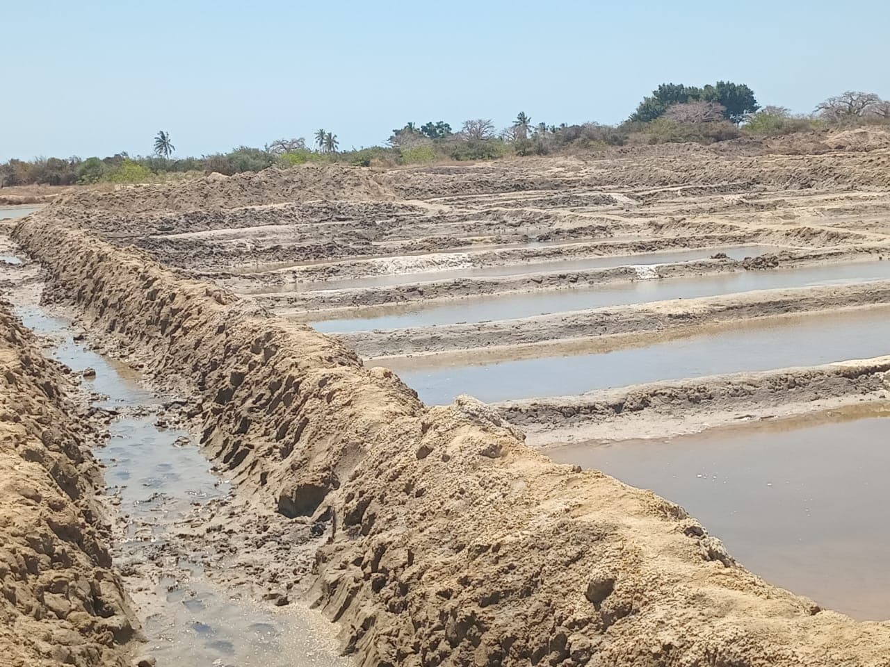 Infraestruturas e Salinas em Terreno de 15,687 Ha - Ilha de Moçambique — imagem 17