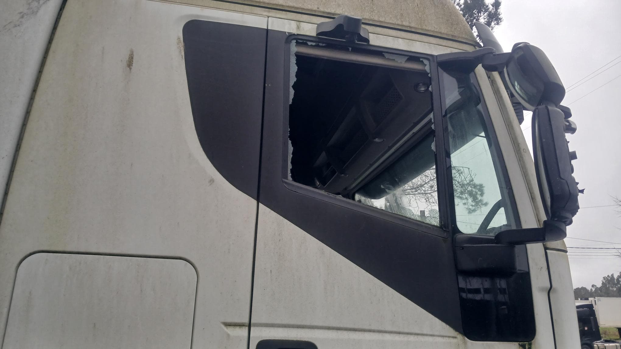 Iveco Strelis 460ES — imagem 4