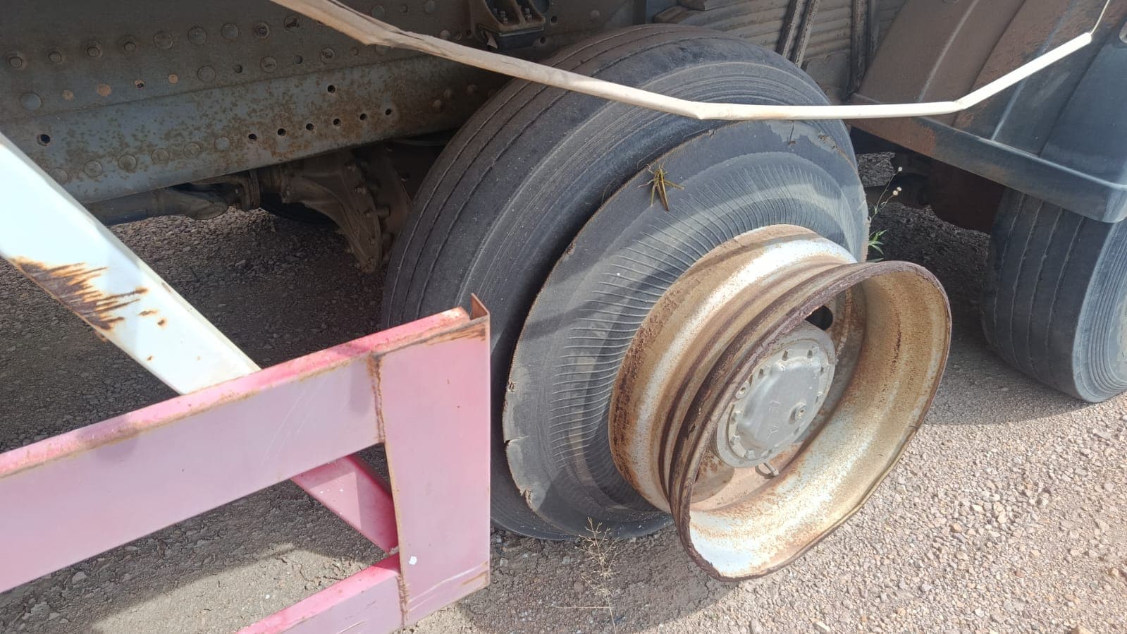 Camião frigorífico Sinotruk Howo 336 — imagen 9