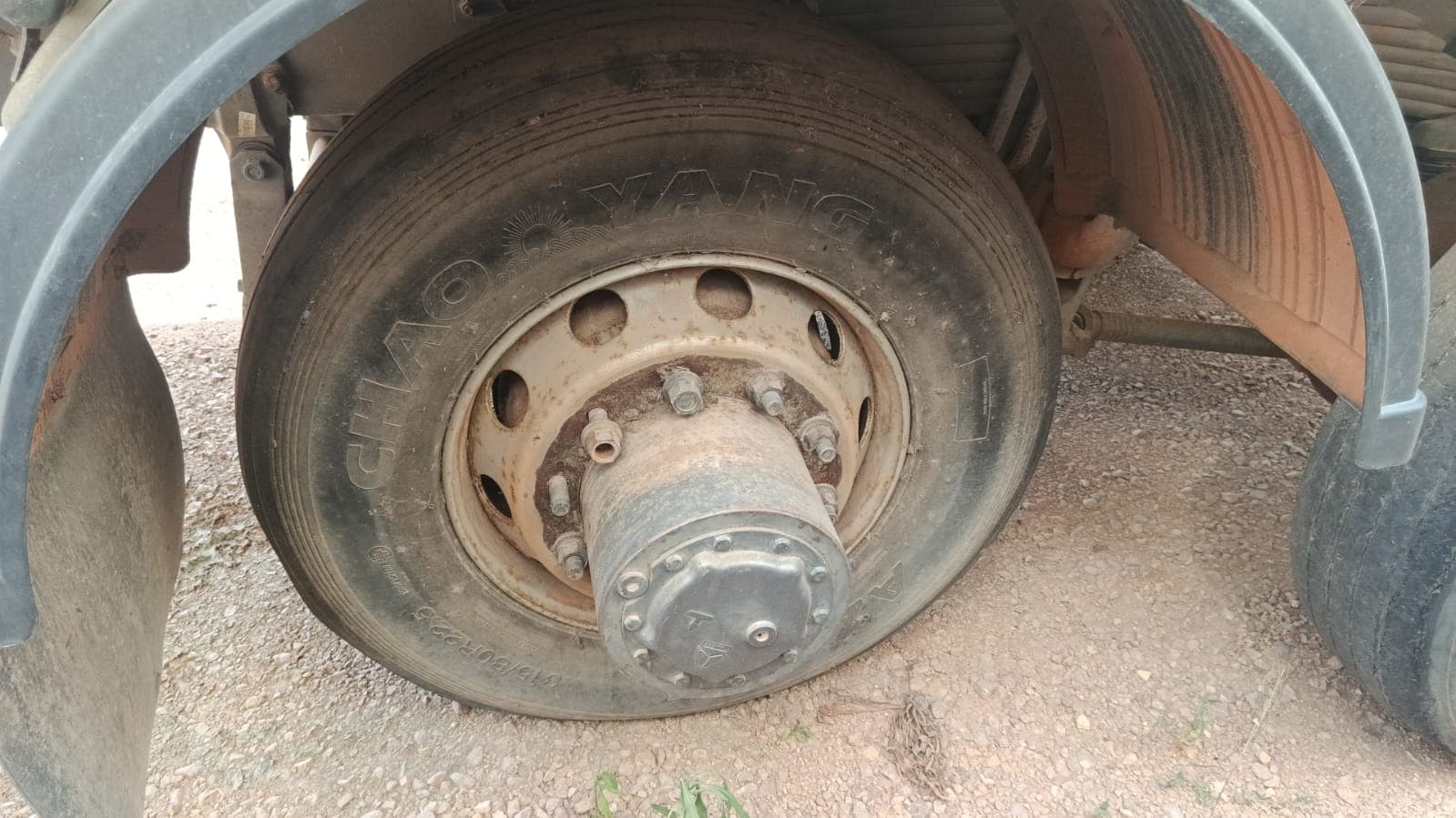 Camião frigorífico Sinotruk Howo 336 — imagen 5