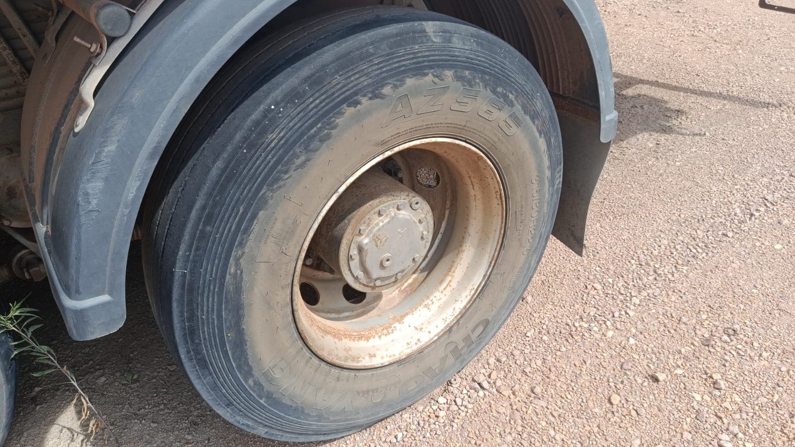 Camião frigorífico Sinotruk Howo 336 — imagen 10