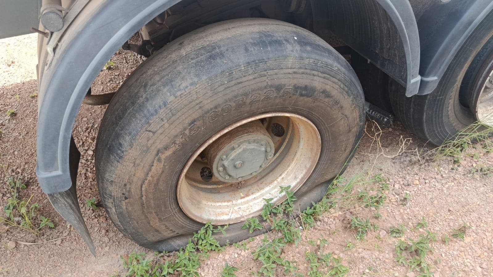 Camião frigorífico Sinotruk Howo 336 — image 4