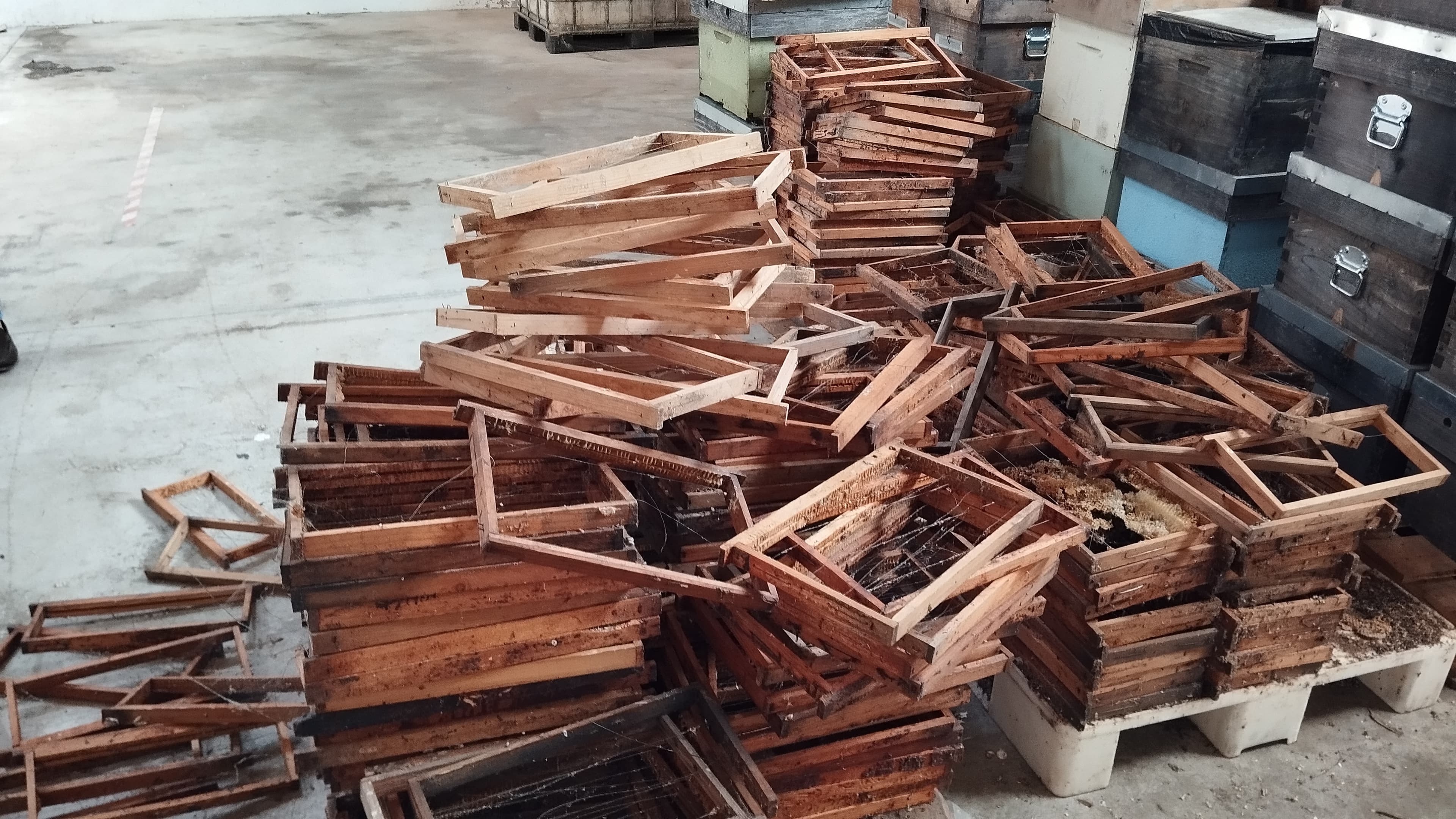 Caixas · Alimentadores de Abelhas — image 2