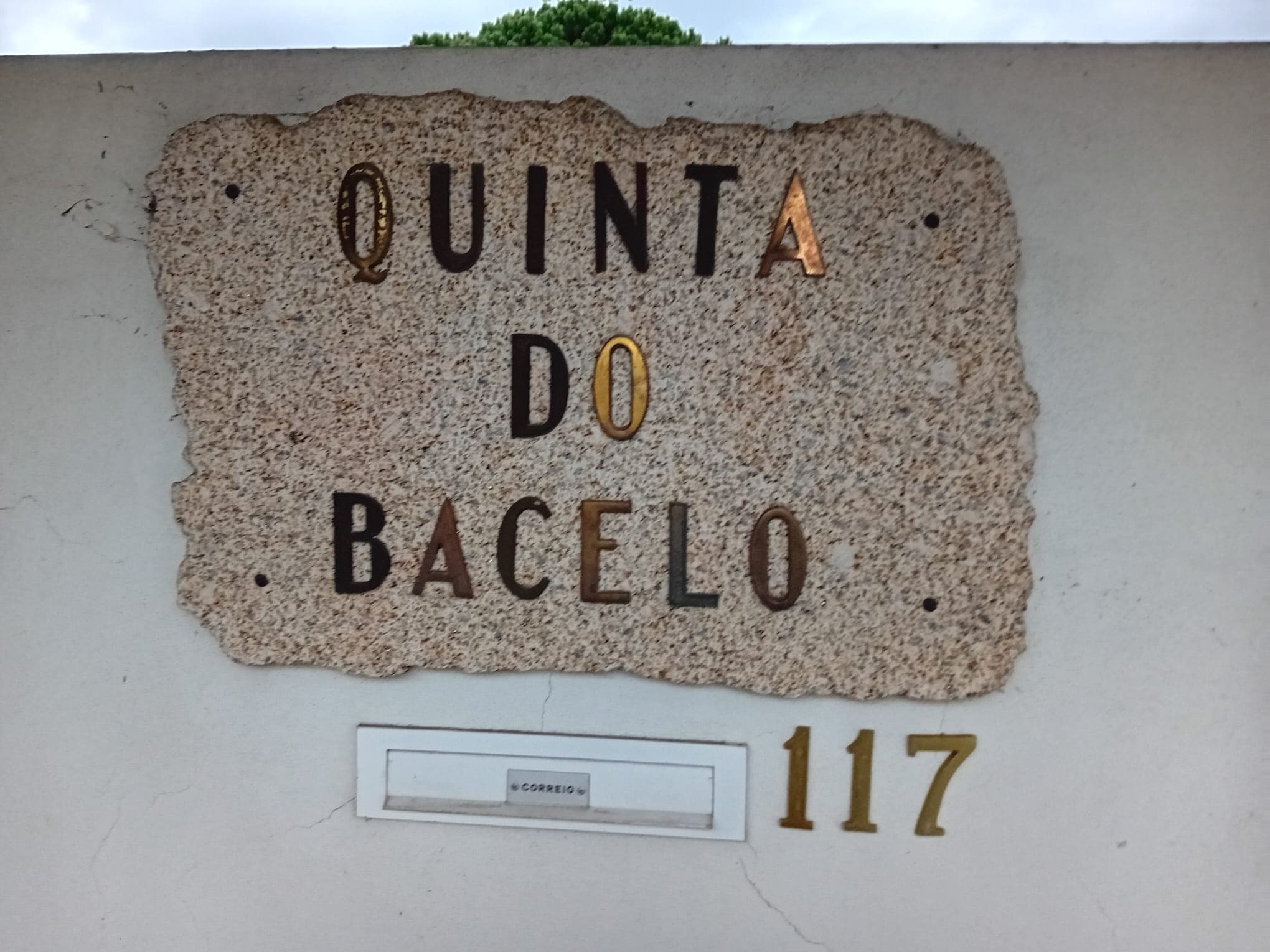 Quinta · Termas de São Vicente, Penafiel — imagen 2