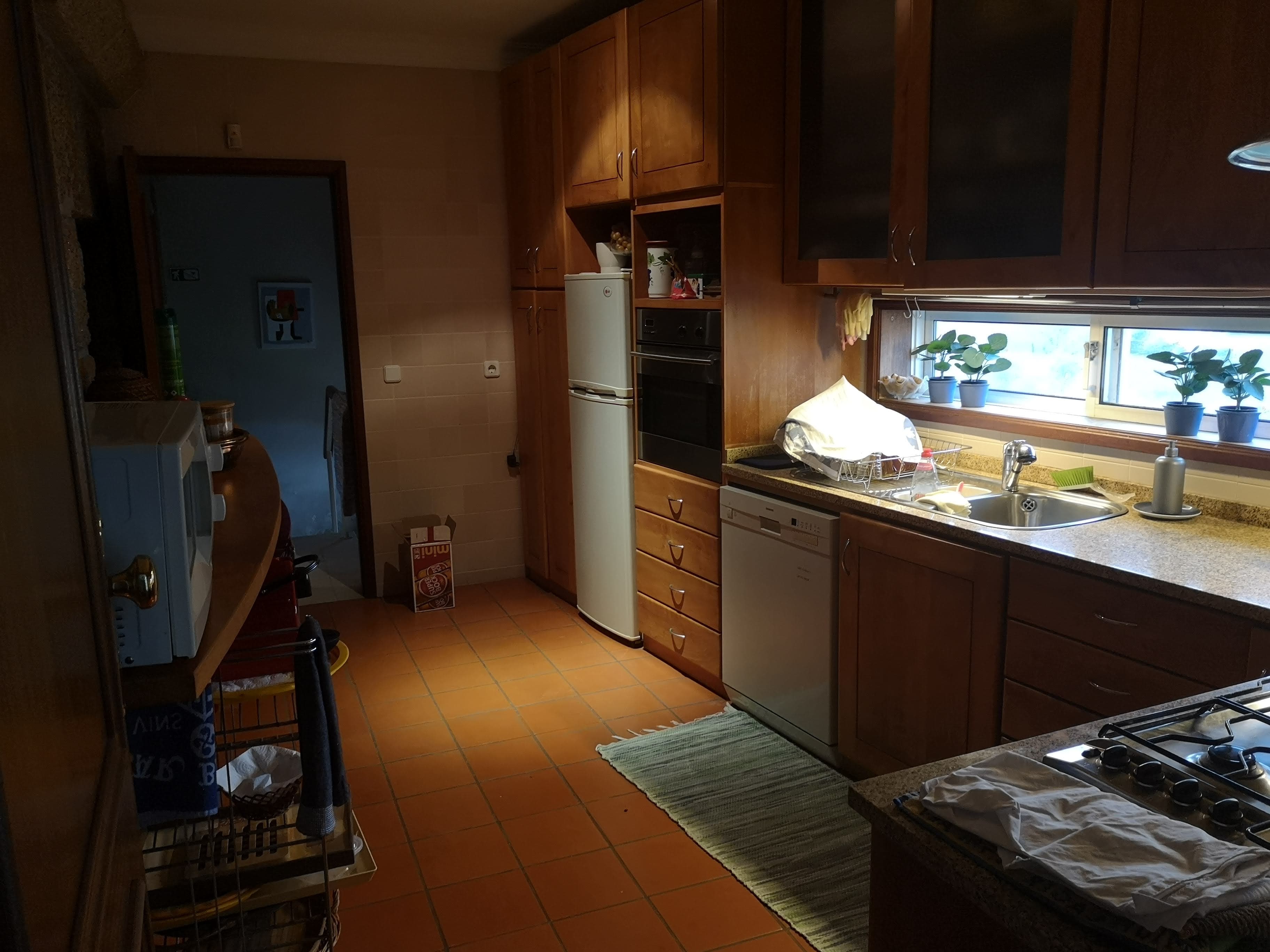 Quinta · Termas de São Vicente, Penafiel — imagen 44