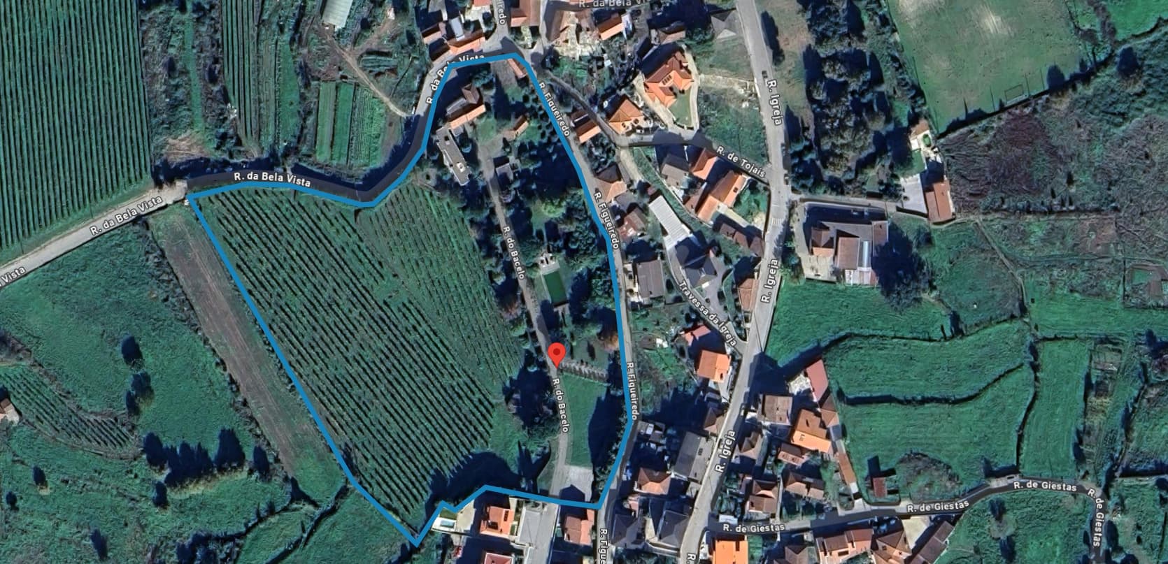 Quinta · Termas de São Vicente, Penafiel — imagen 75