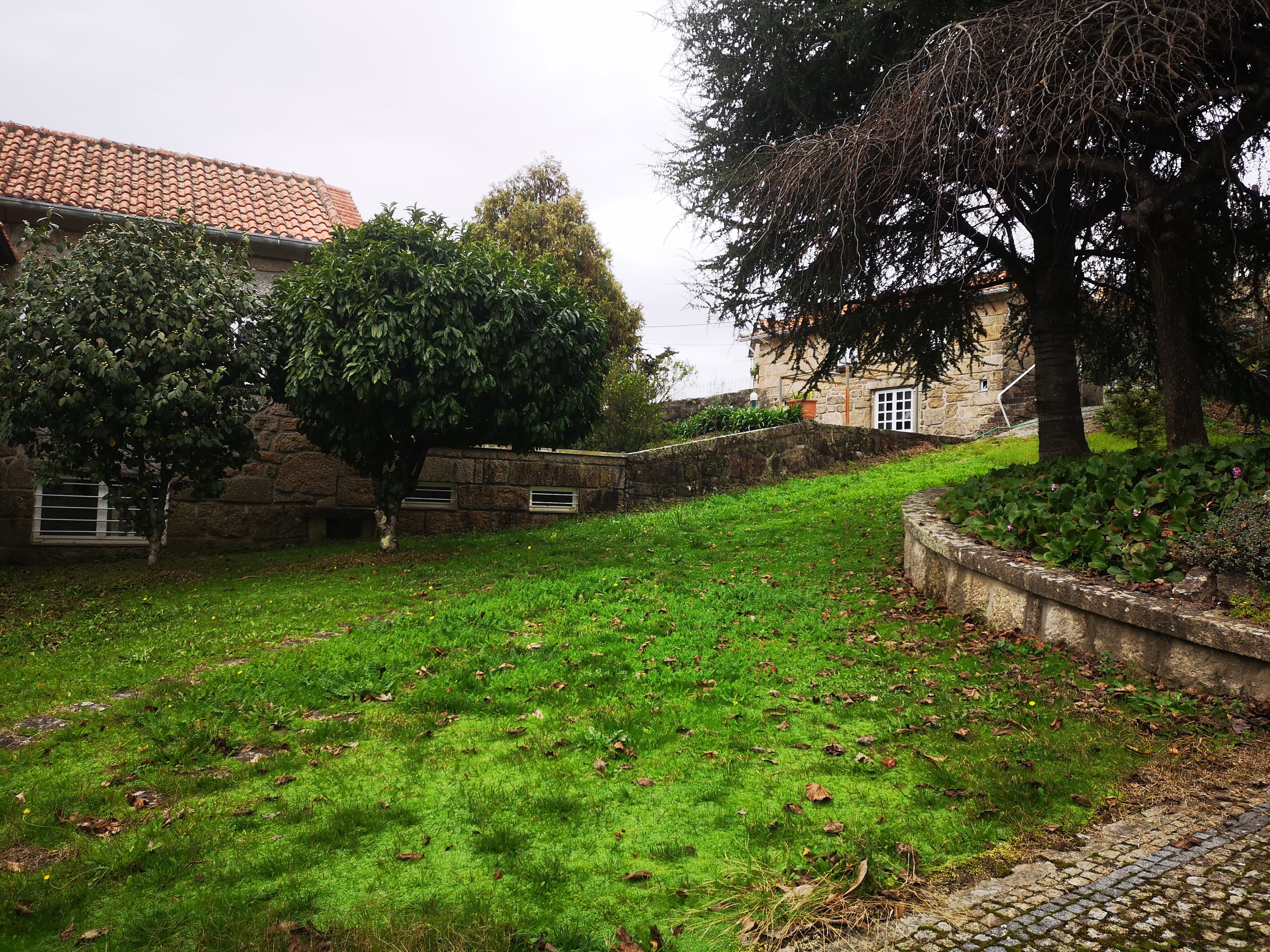Quinta · Termas de São Vicente, Penafiel — imagen 74