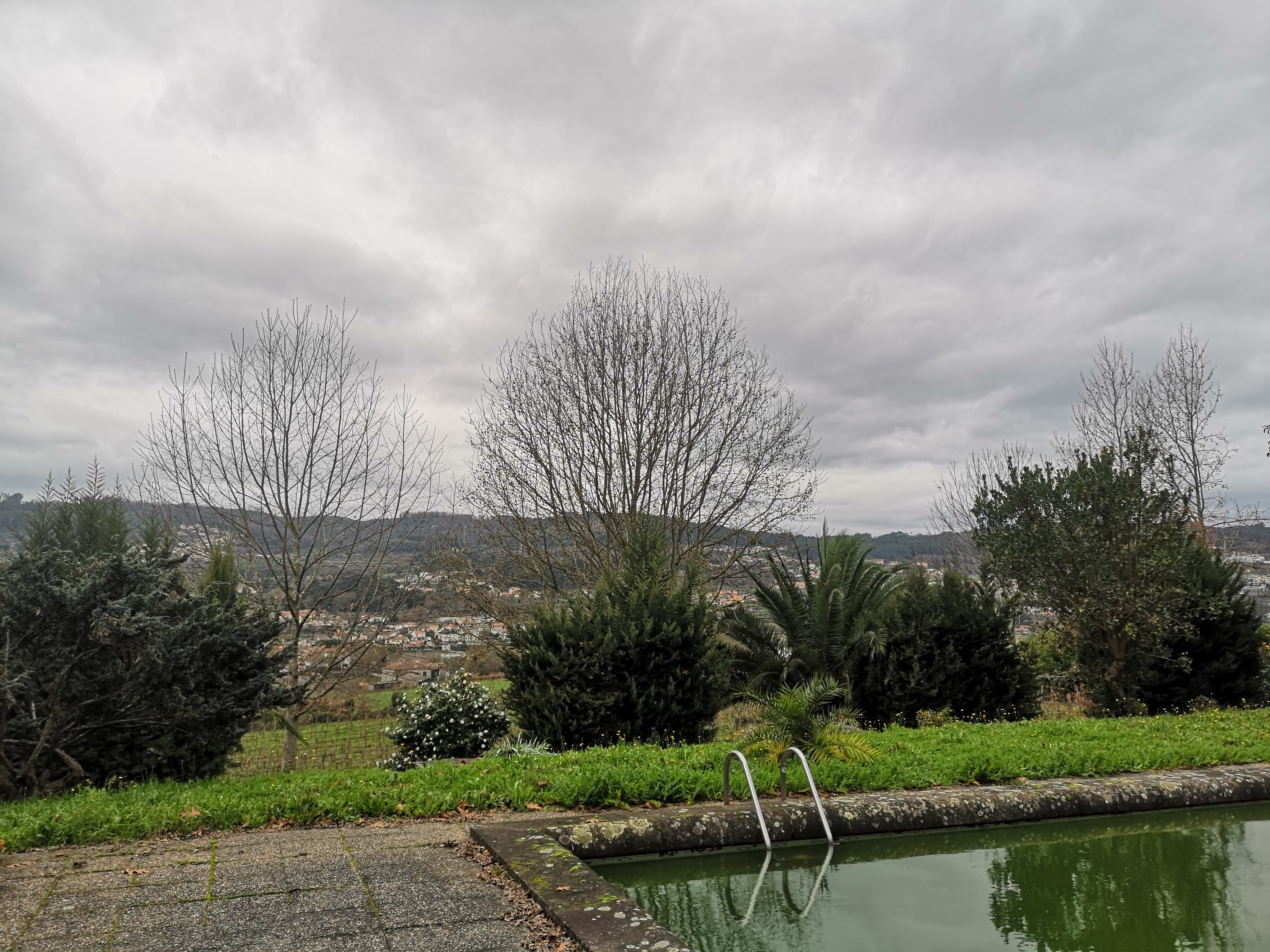Quinta · Termas de São Vicente, Penafiel — imagen 10