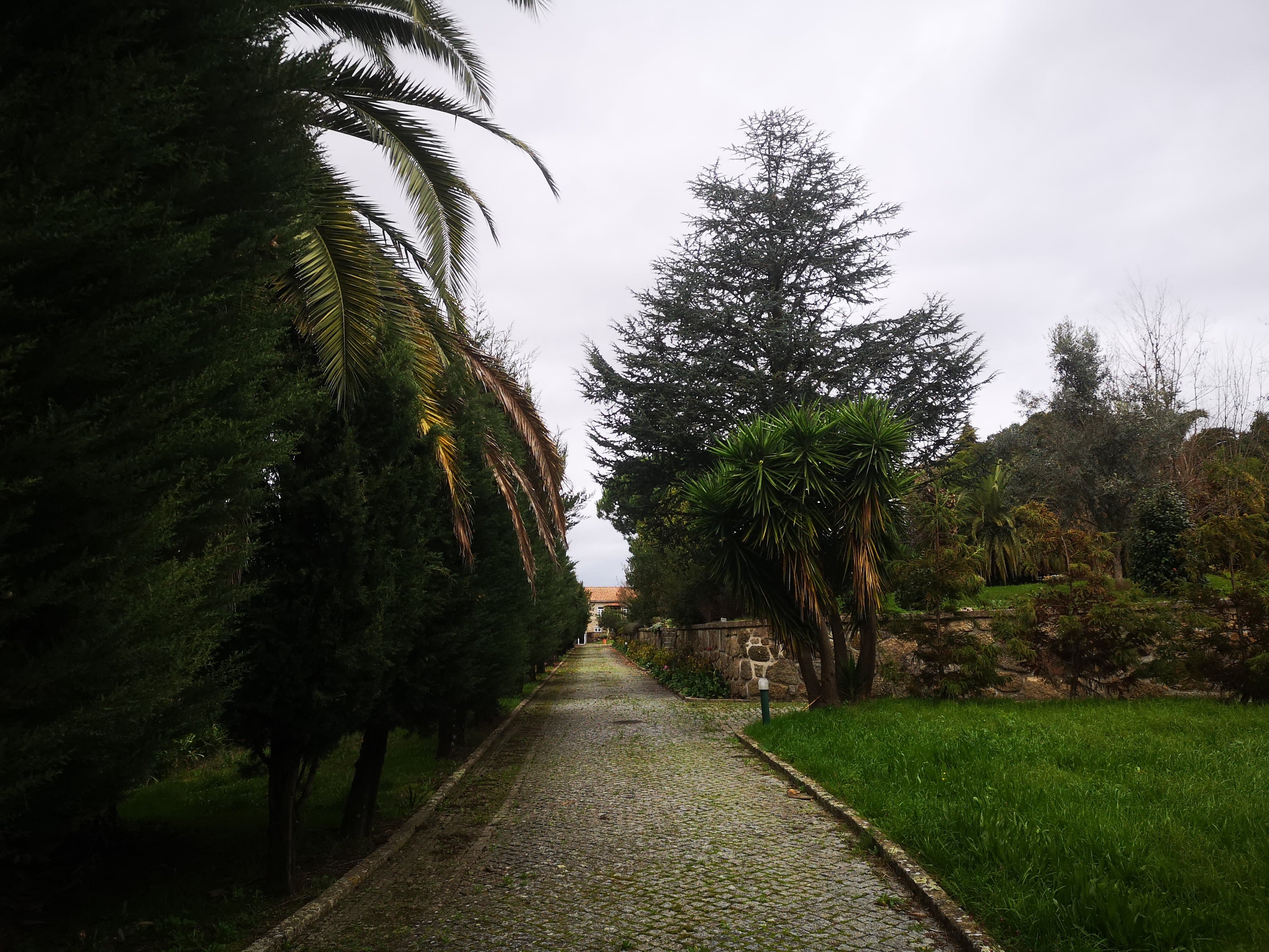 Quinta · Termas de São Vicente, Penafiel — imagen 6