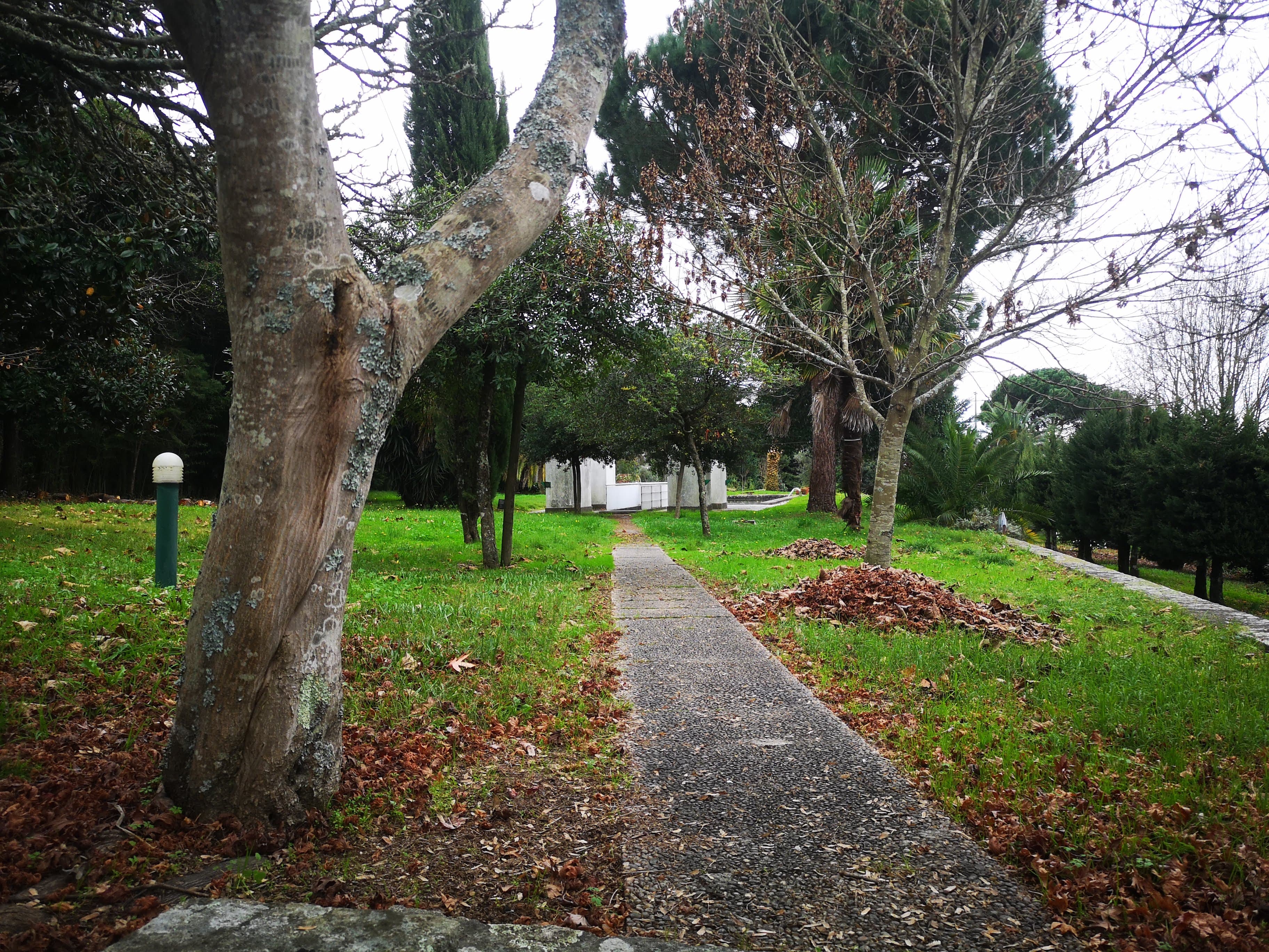 Quinta · Termas de São Vicente, Penafiel — imagen 72