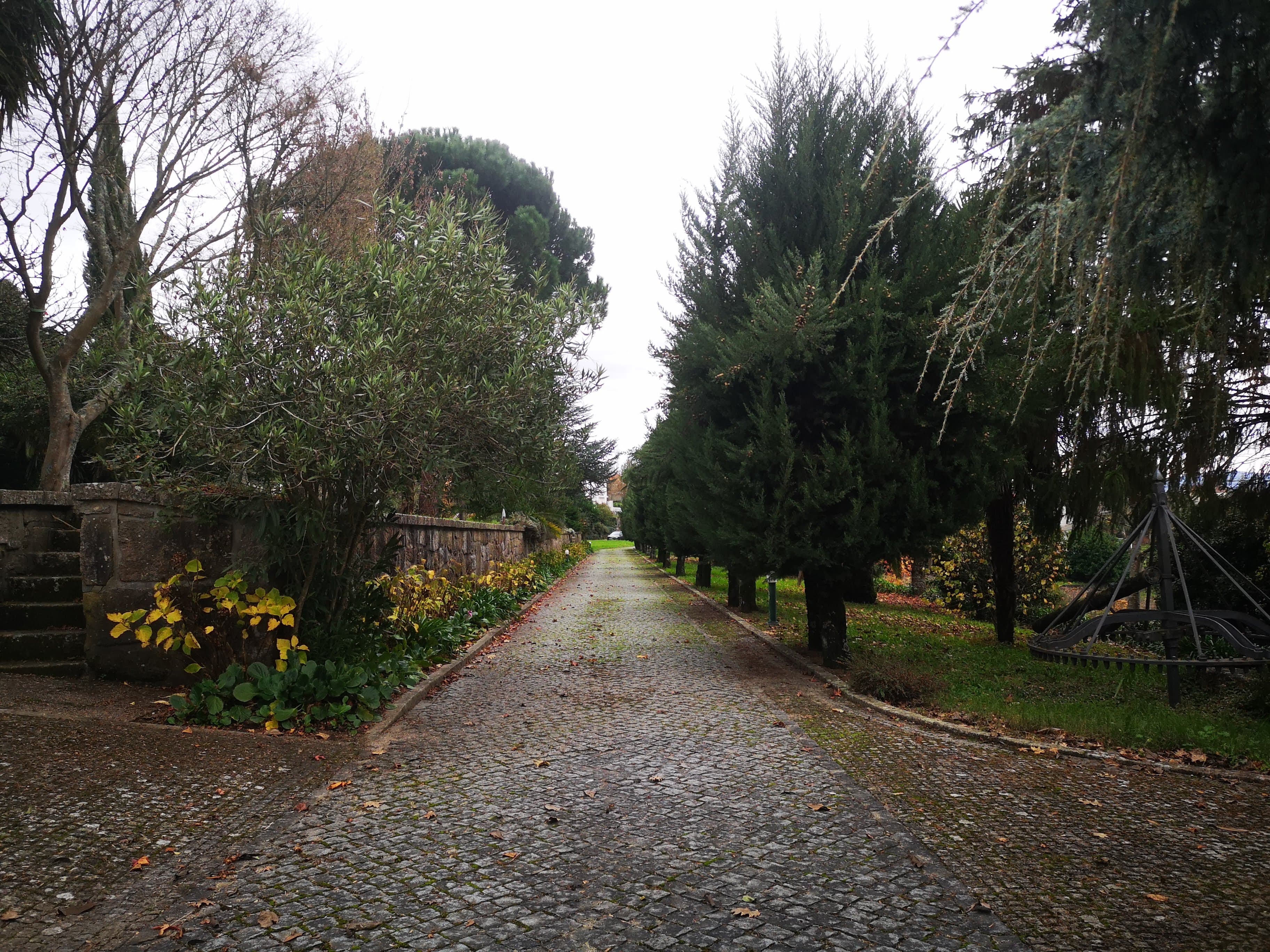 Quinta · Termas de São Vicente, Penafiel — imagen 12