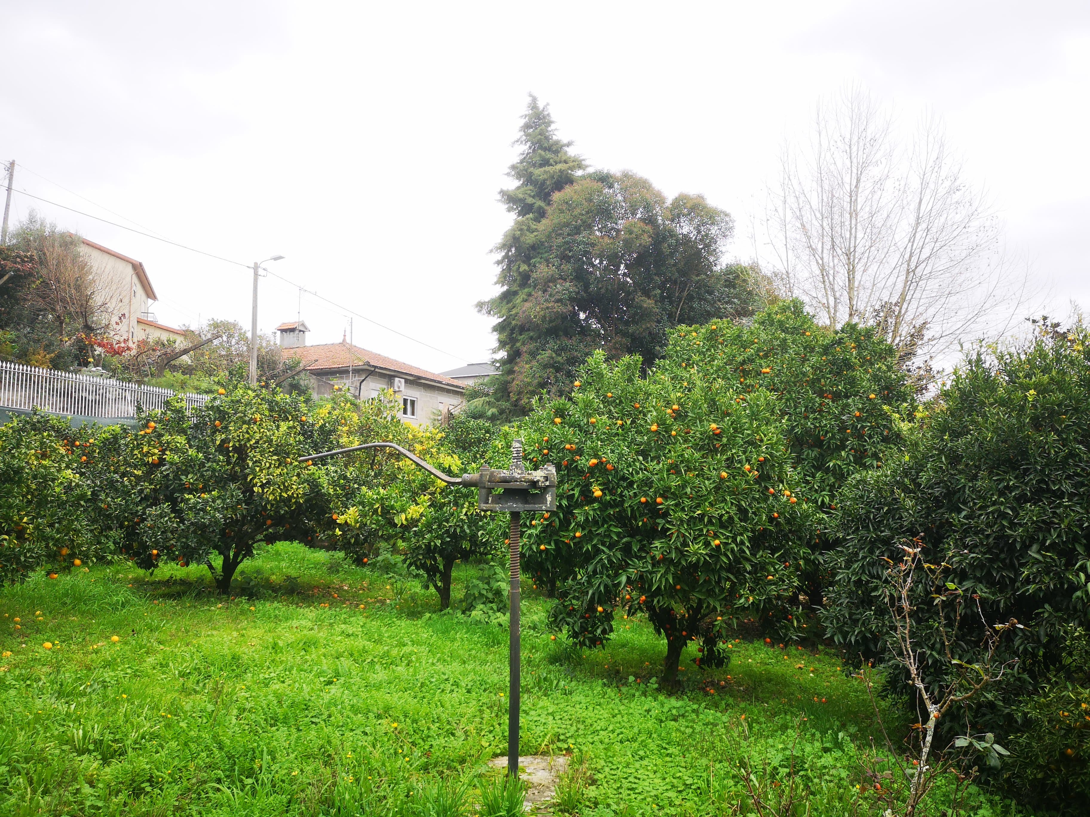 Quinta · Termas de São Vicente, Penafiel — imagen 73