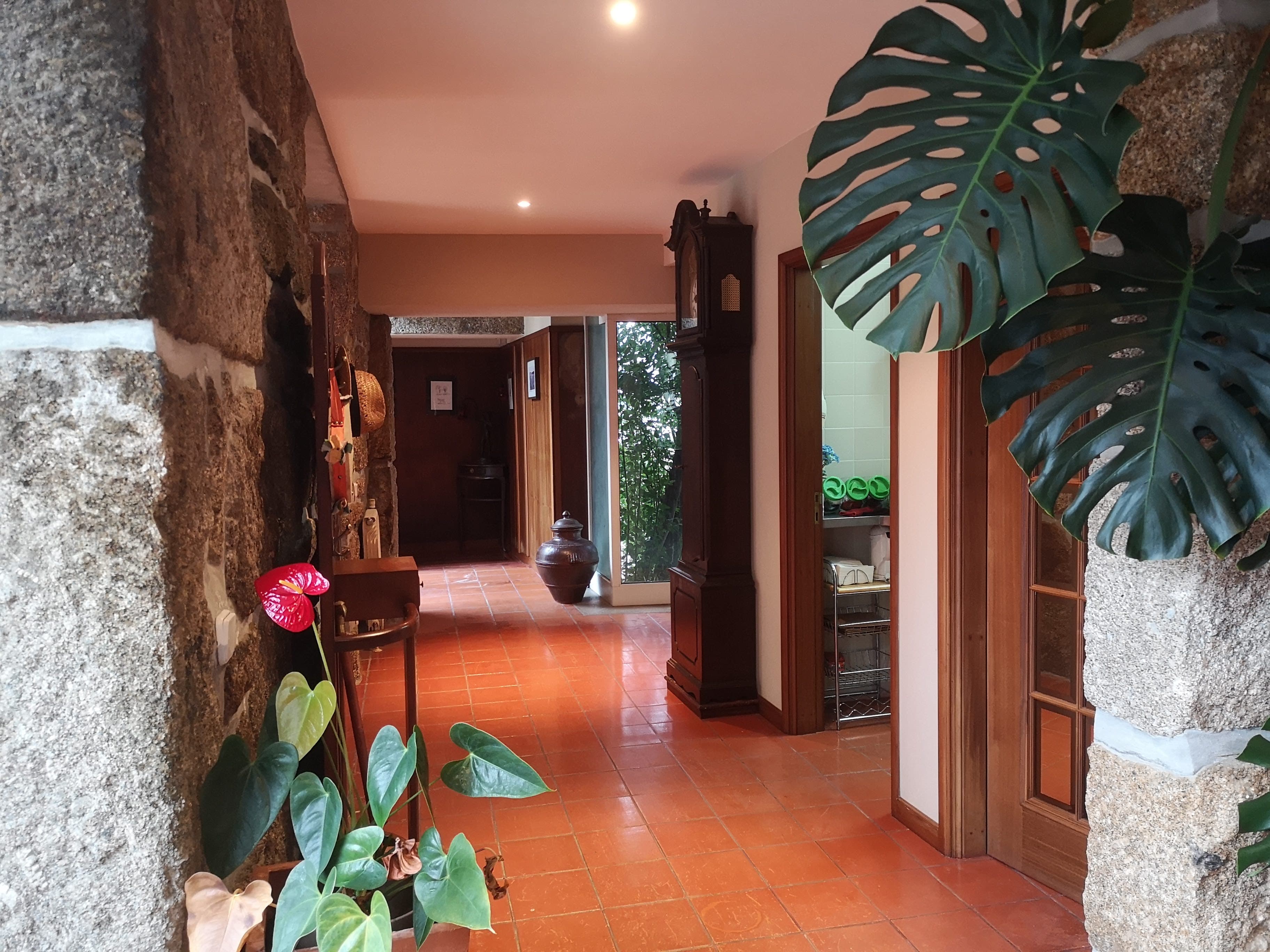 Quinta · Termas de São Vicente, Penafiel — imagen 15