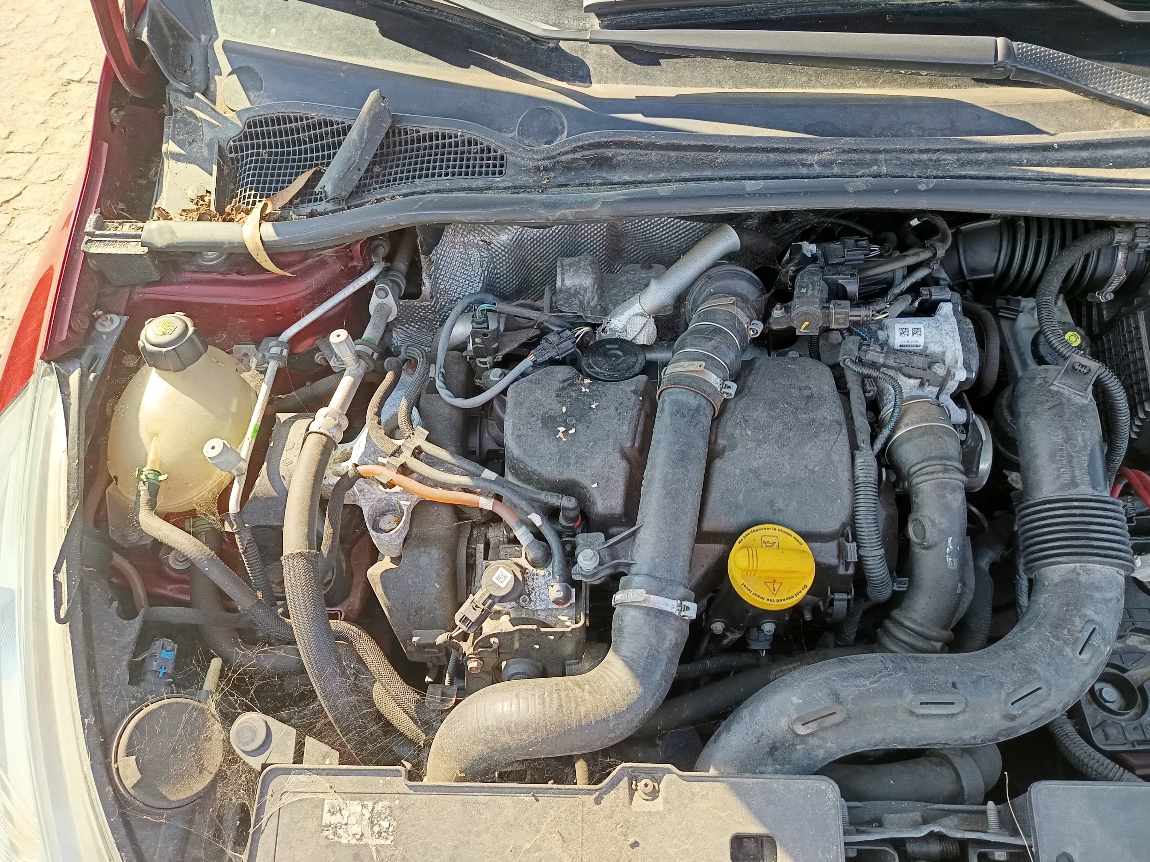 Renault Clio · Ano 2018 — imagen 13