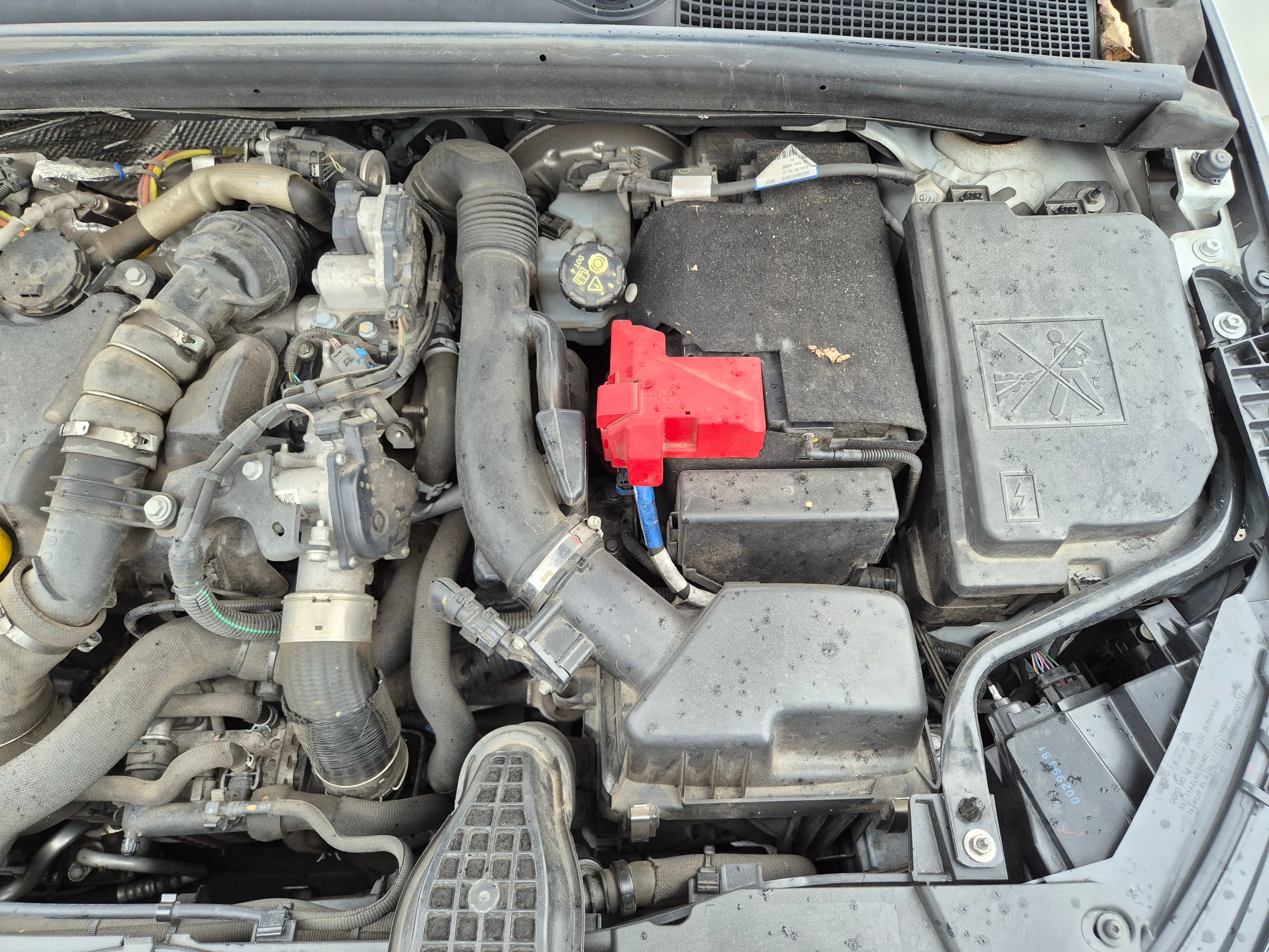 Renault Clio 1.5 Dci · Ano 2020 — imagem 49