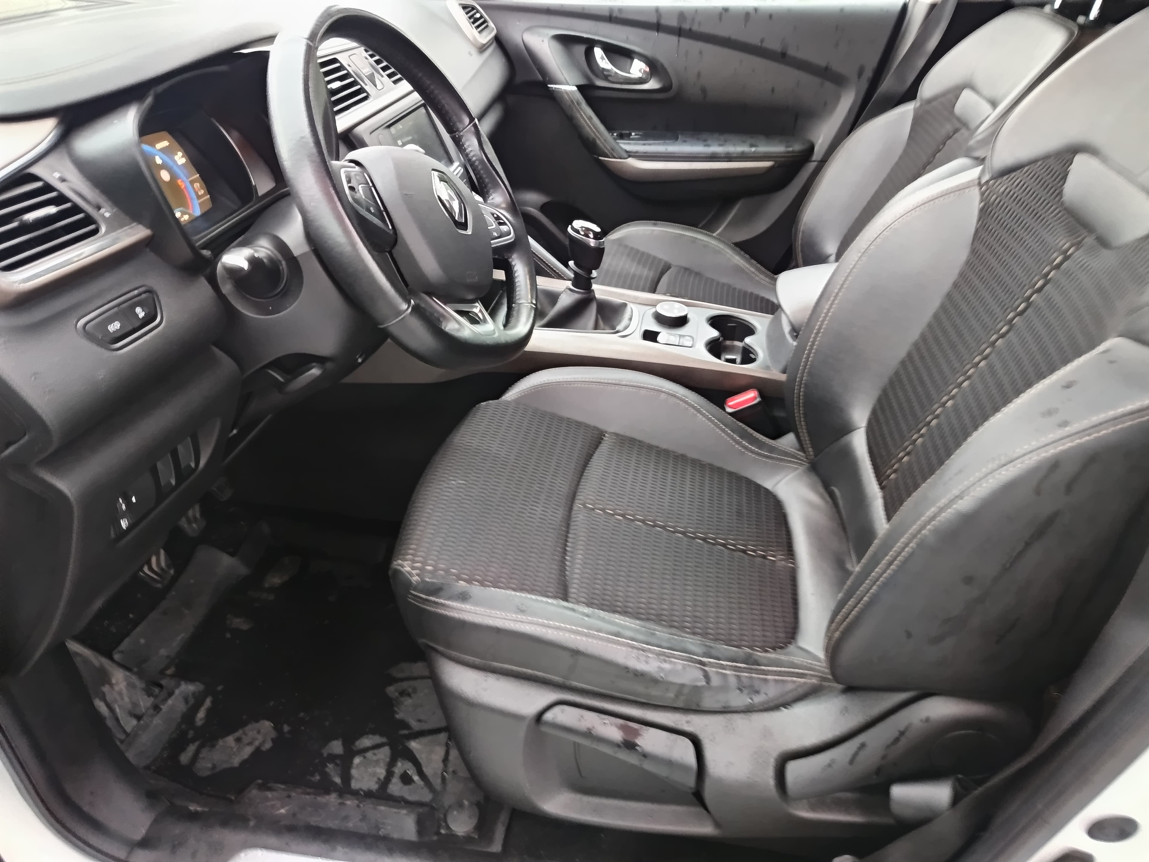 Renault Kadjar · Ano 2017 — imagen 29