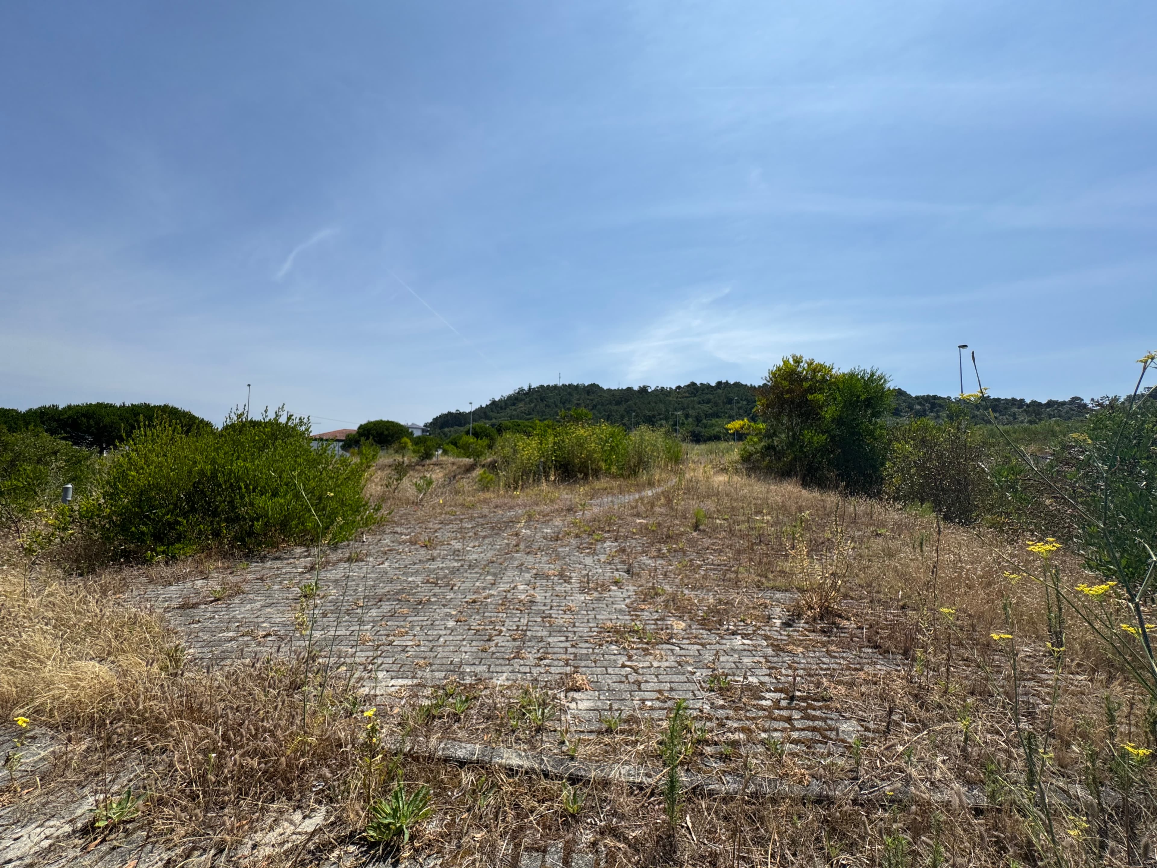 Proporção de 1/4 de Terrenos para Construção · Darque, Viana do Castelo — imagen 8