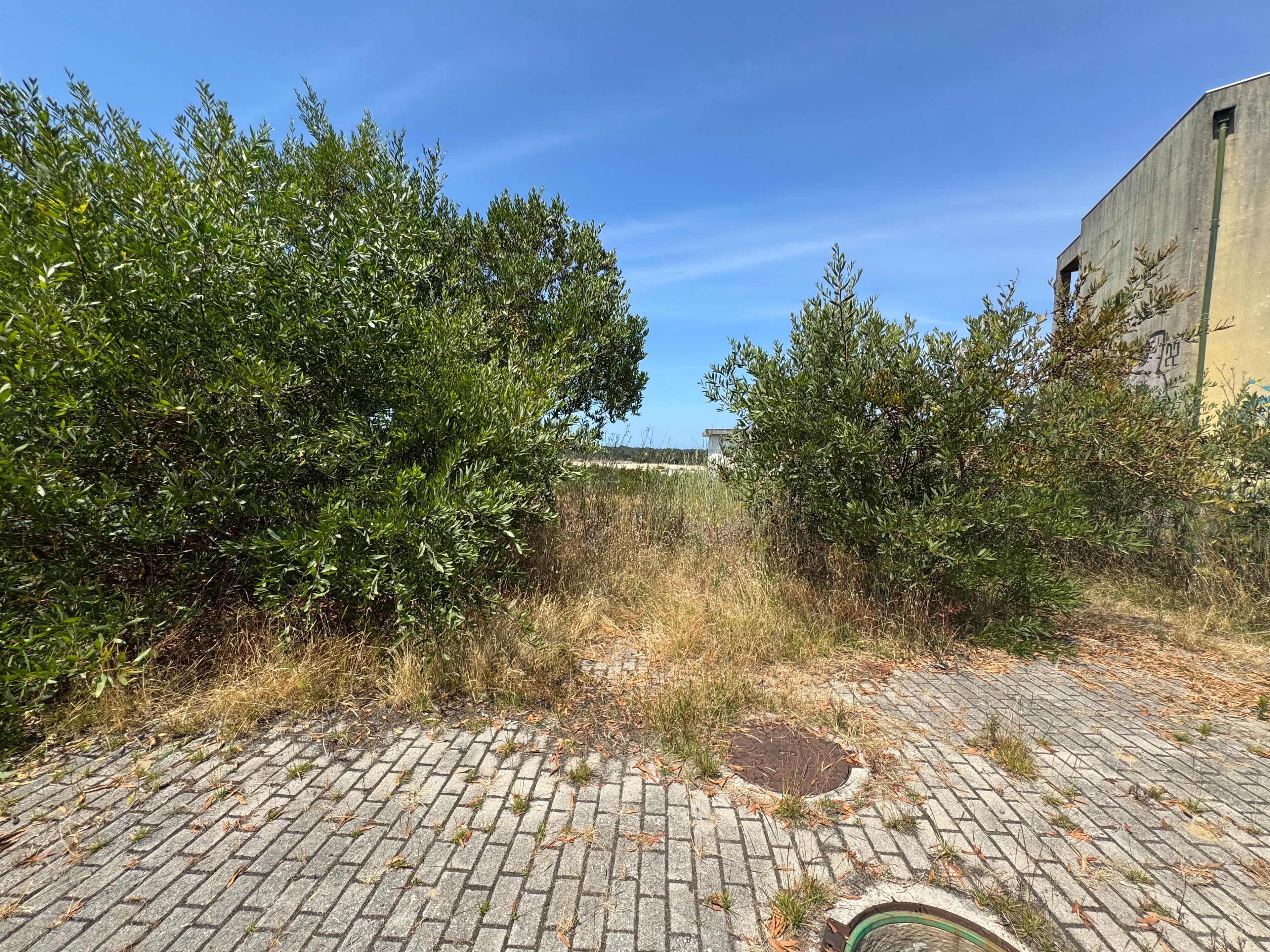 Proporção de 1/4 de Terrenos para Construção · Darque, Viana do Castelo — imagen 10