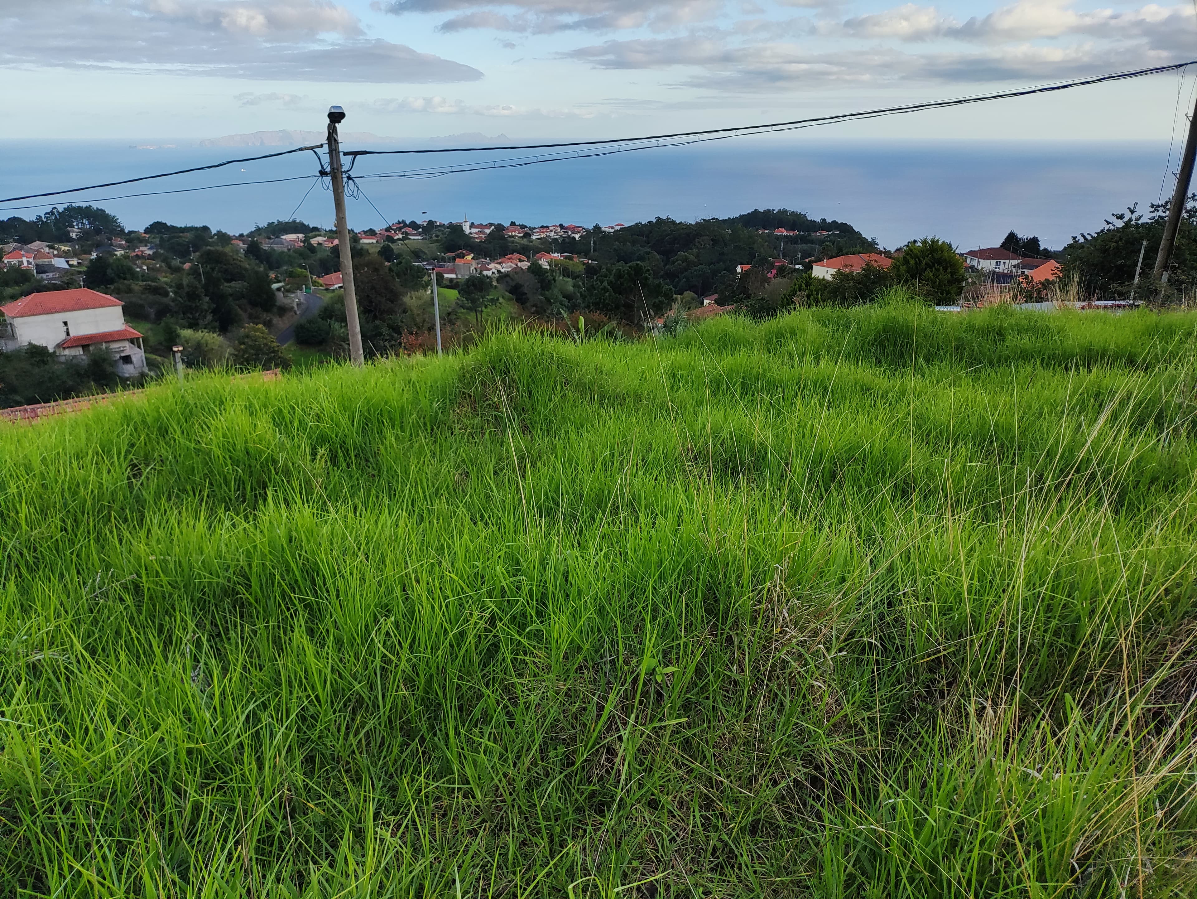 Direito à Meação de Terreno com 3.300 m² · Gaula, Santa Cruz — image 1