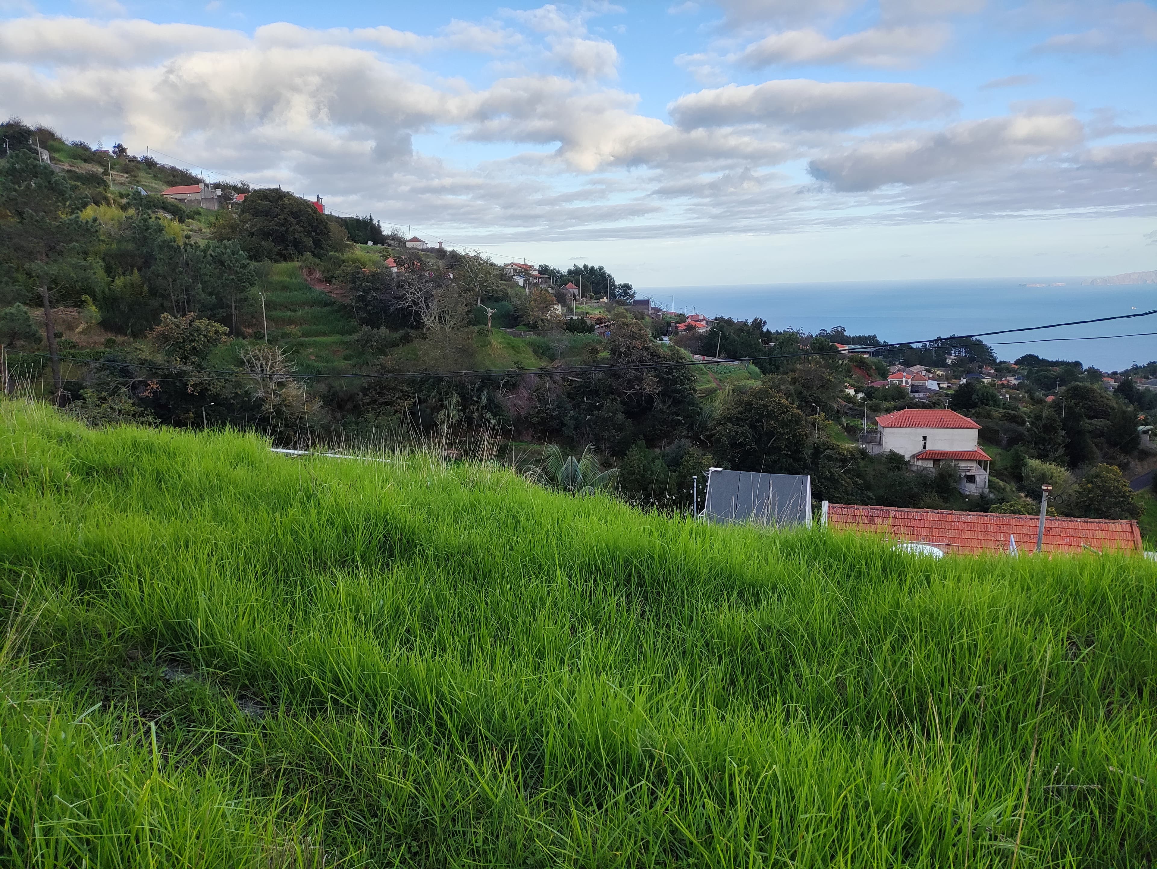 Direito à Meação de Terreno com 3.300 m² · Gaula, Santa Cruz — image 2