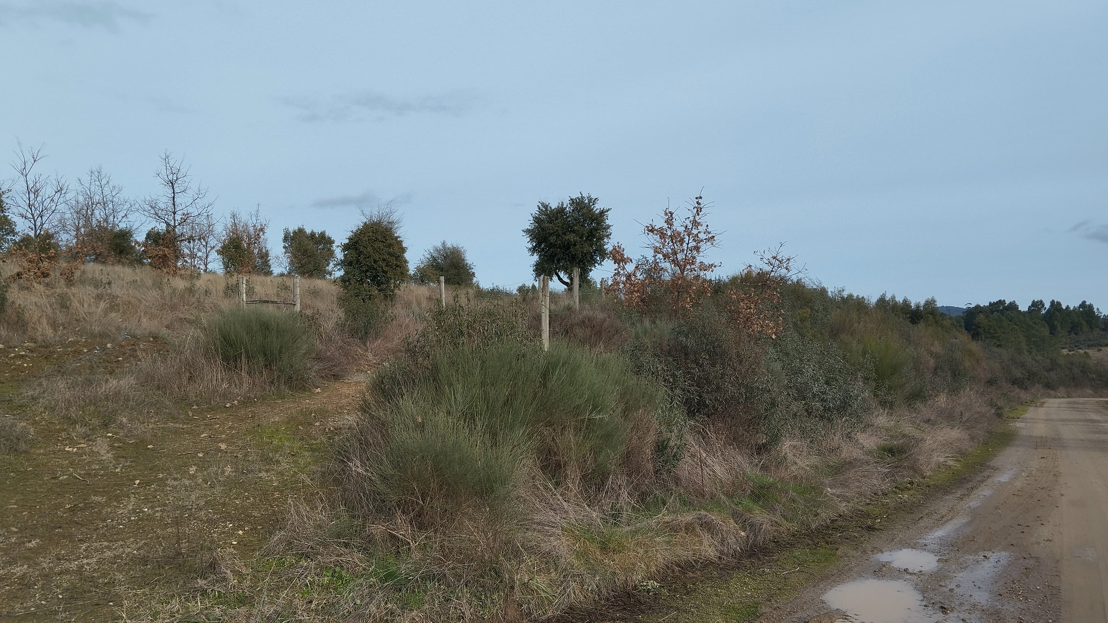 Quinhão Hereditário · Vale da Senhora da Póvoa, Penamacor — image 38