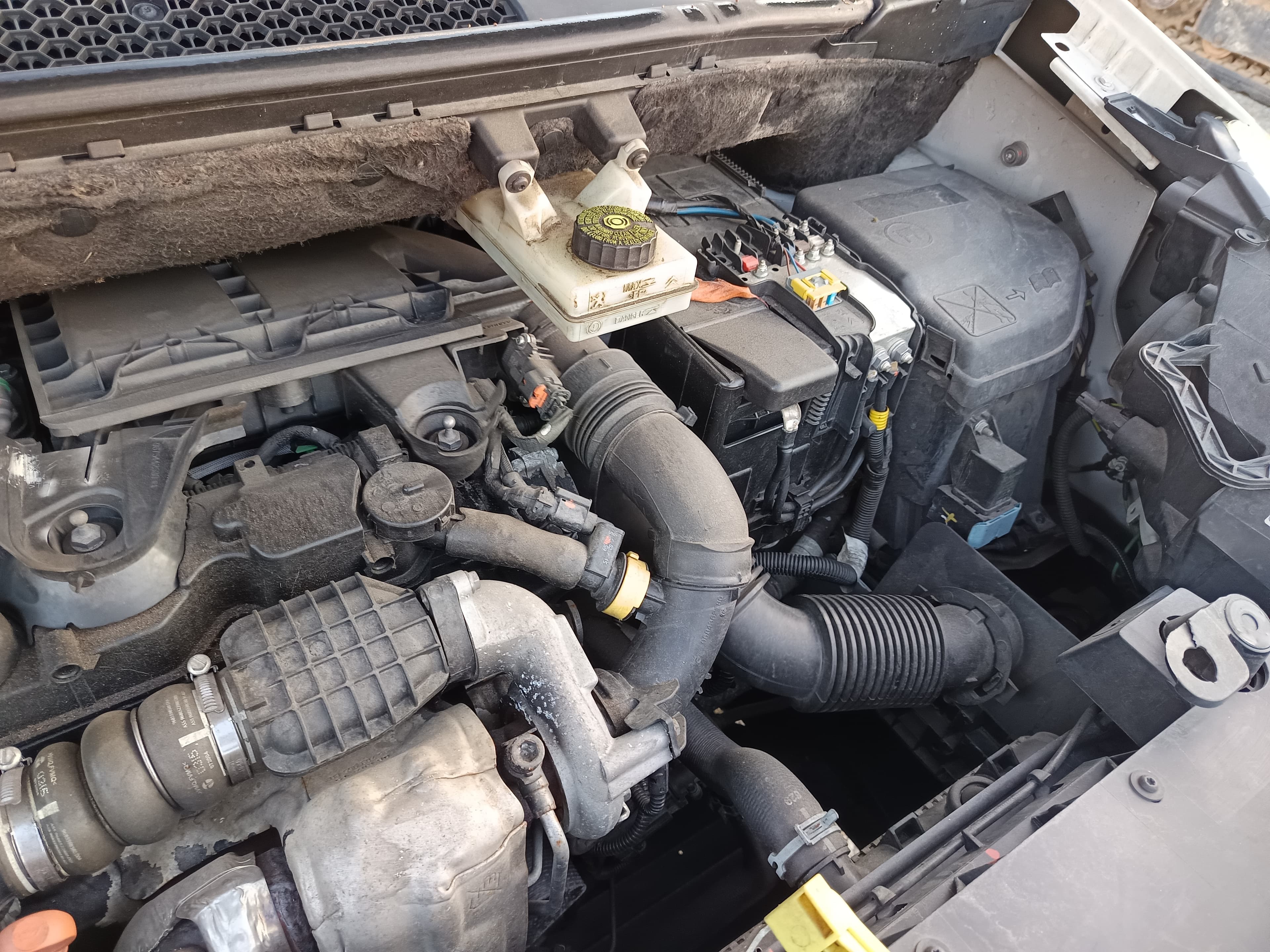 Citroën Berlingo · Ano 2015 — imagen 9