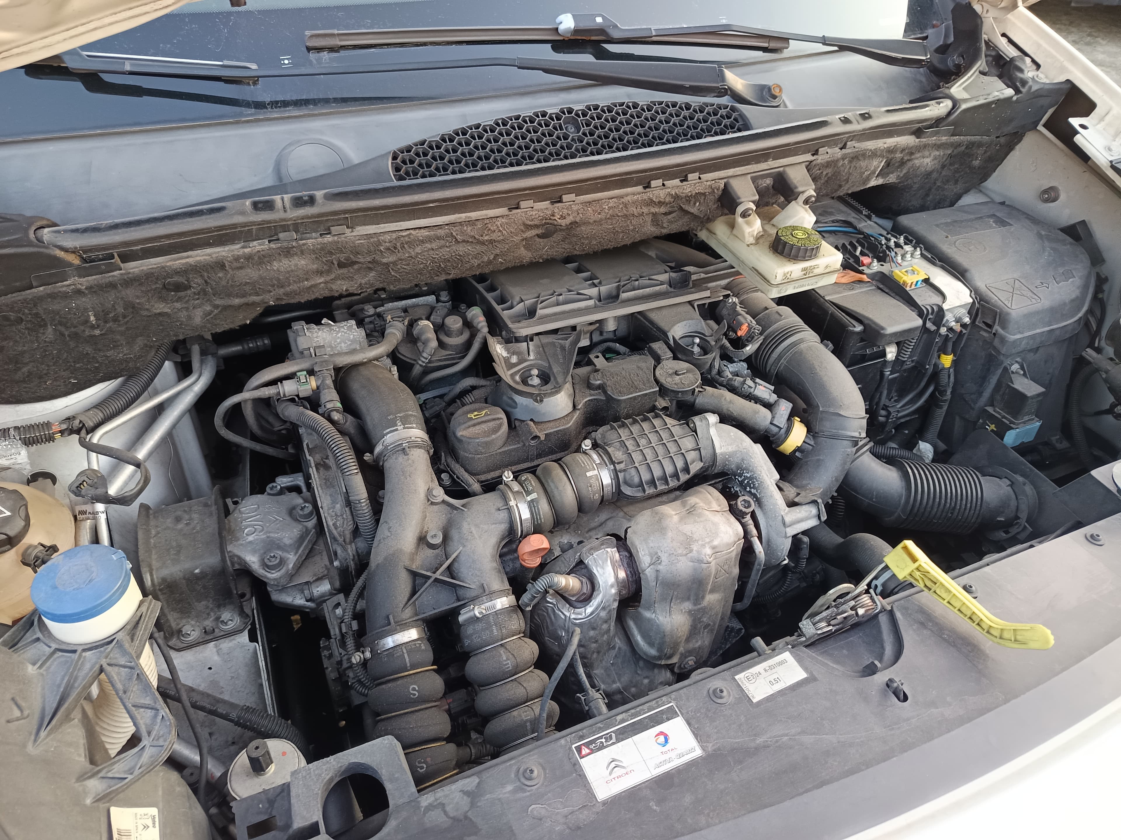 Citroën Berlingo · Ano 2015 — imagen 7